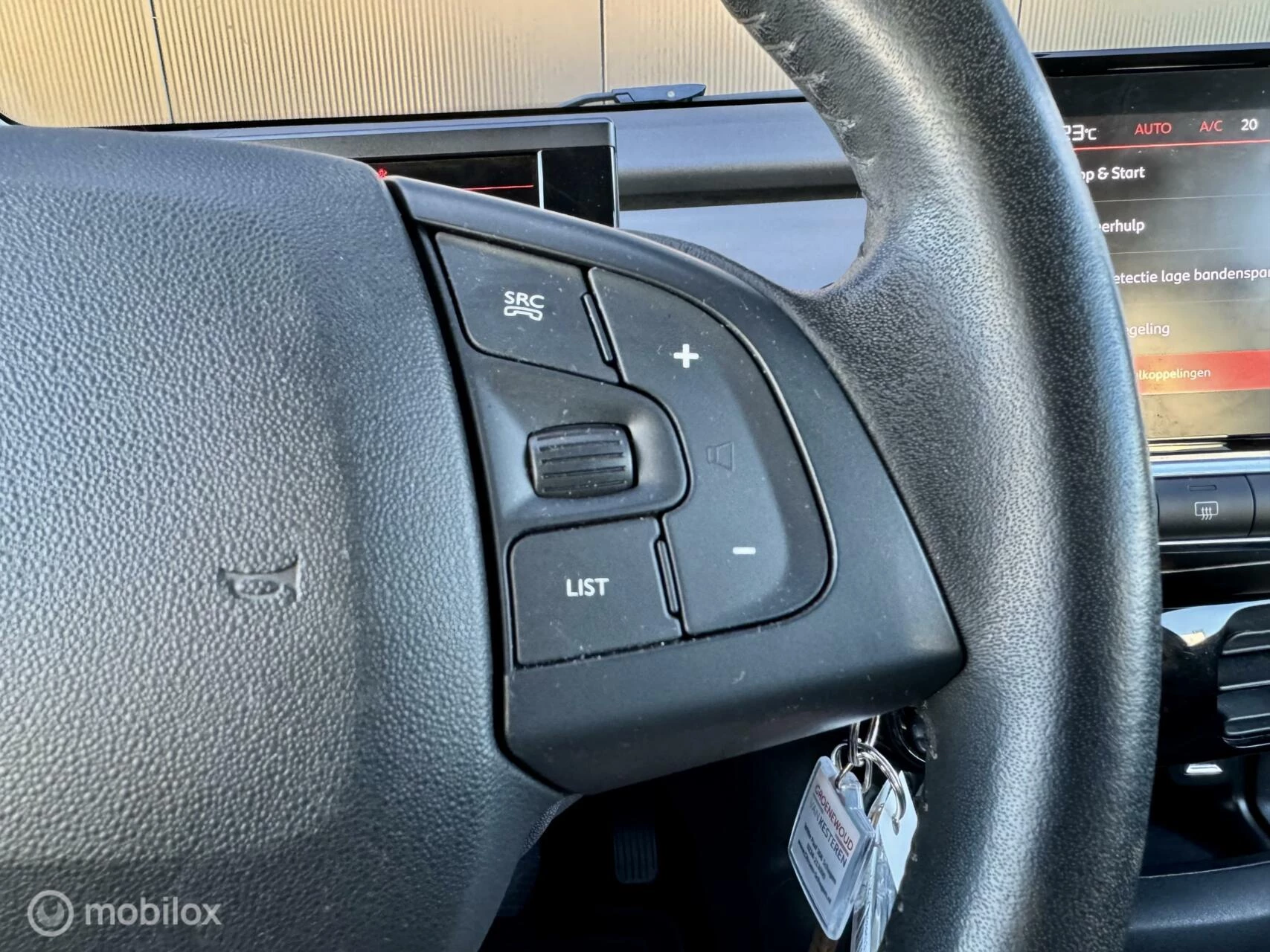 Hoofdafbeelding Citroën C4 Cactus