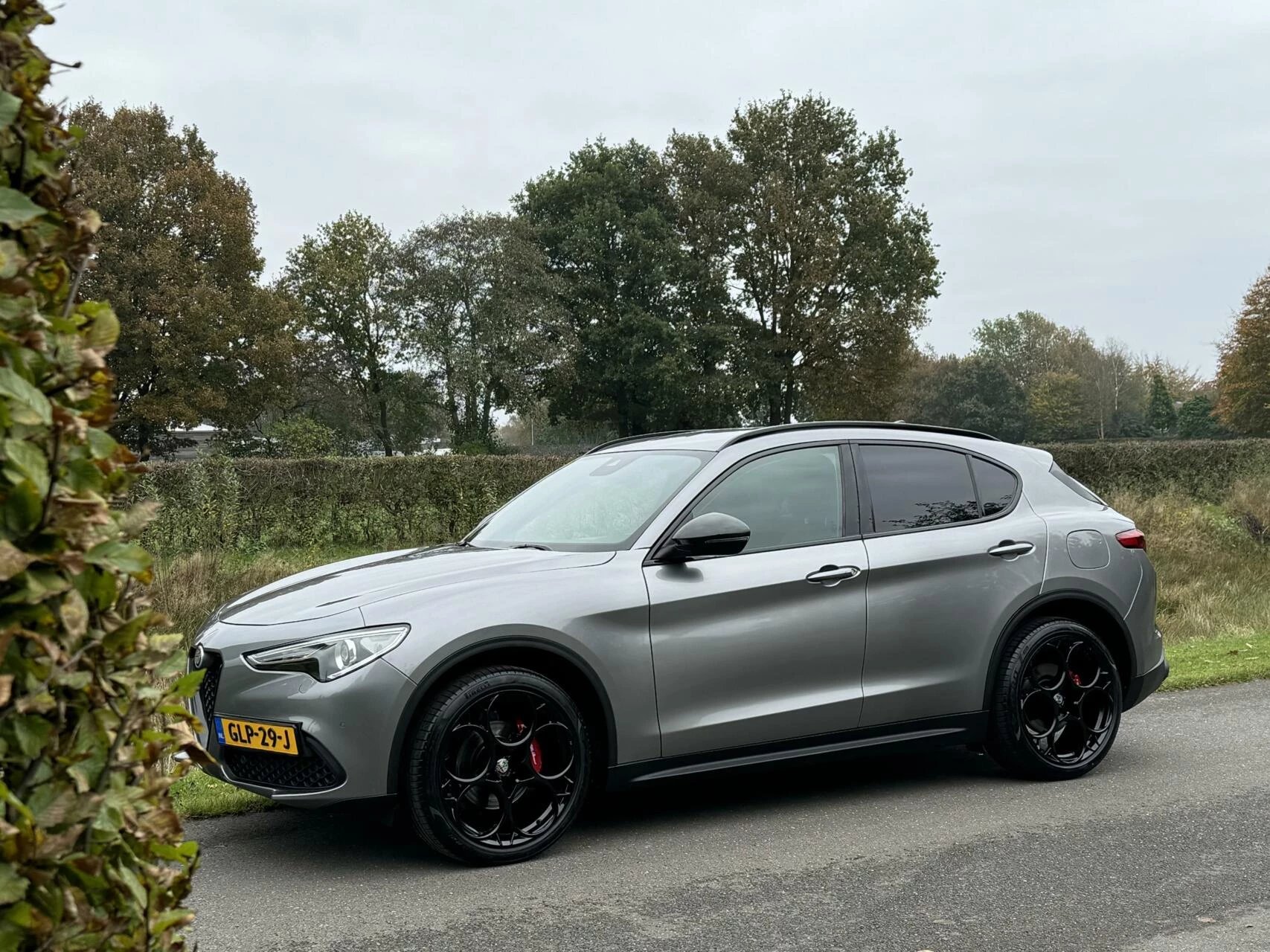 Hoofdafbeelding Alfa Romeo Stelvio