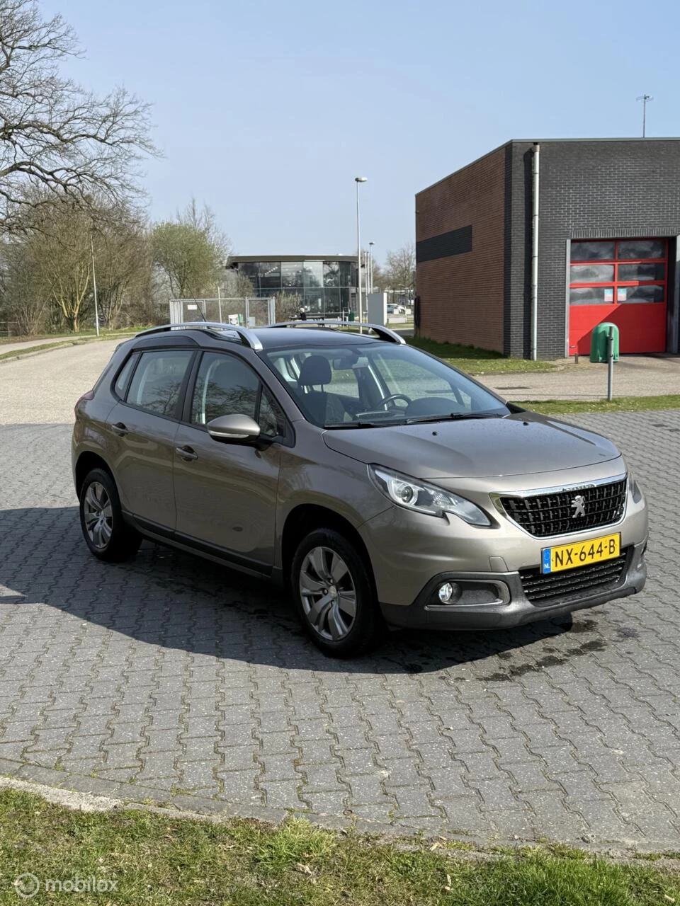 Hoofdafbeelding Peugeot 2008