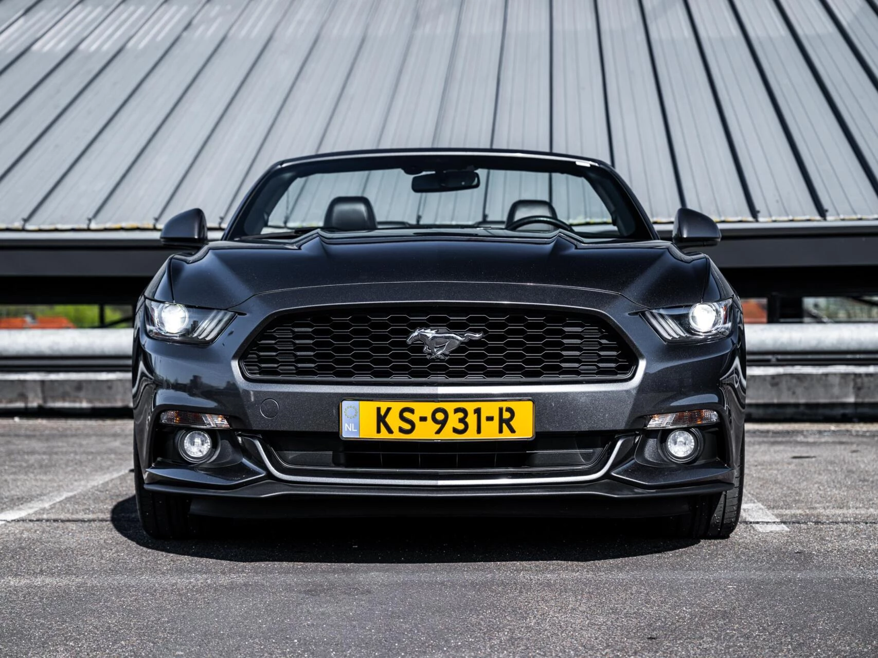Hoofdafbeelding Ford Mustang