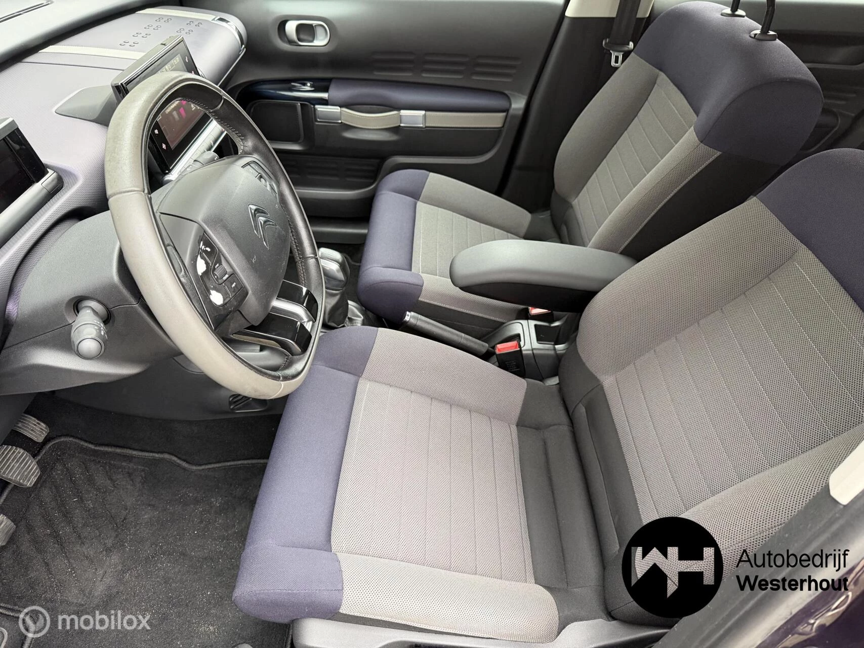 Hoofdafbeelding Citroën C4 Cactus