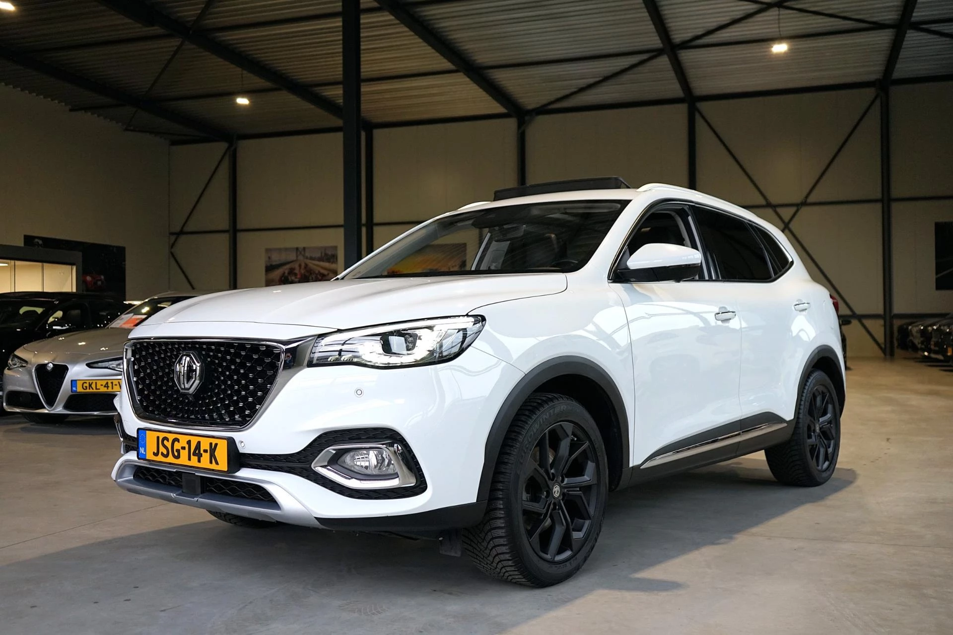 Hoofdafbeelding MG EHS