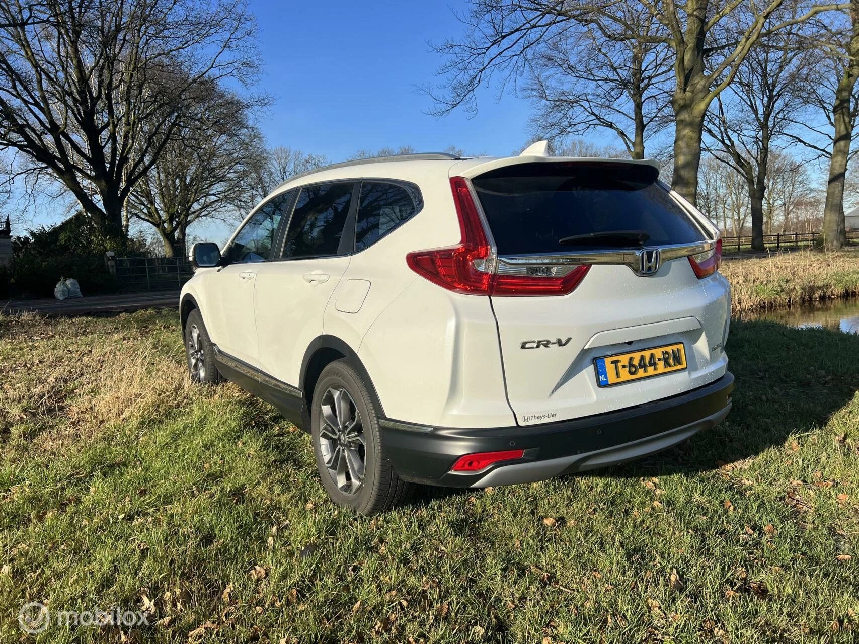 Hoofdafbeelding Honda CR-V