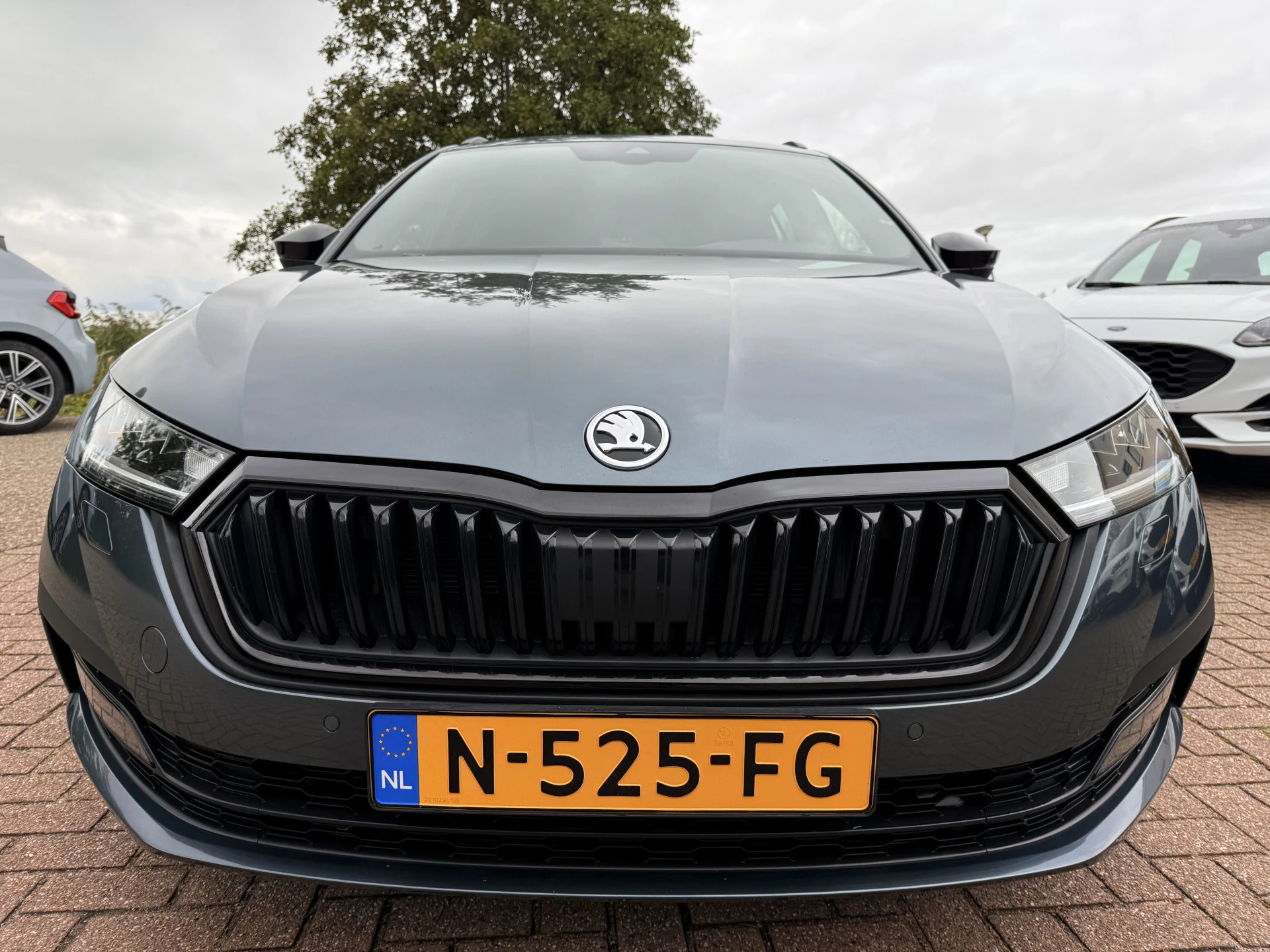 Hoofdafbeelding Škoda Octavia