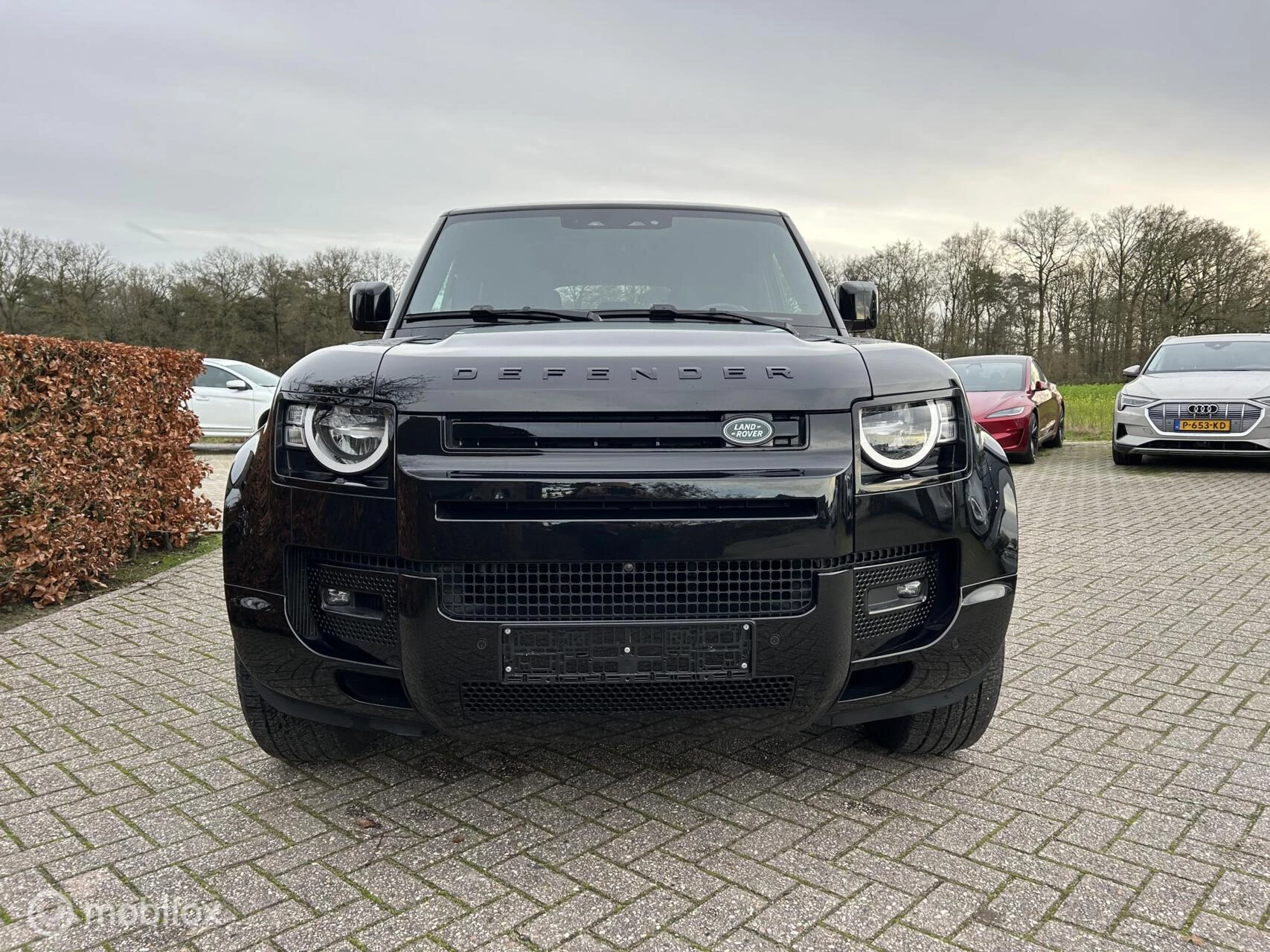 Hoofdafbeelding Land Rover Defender