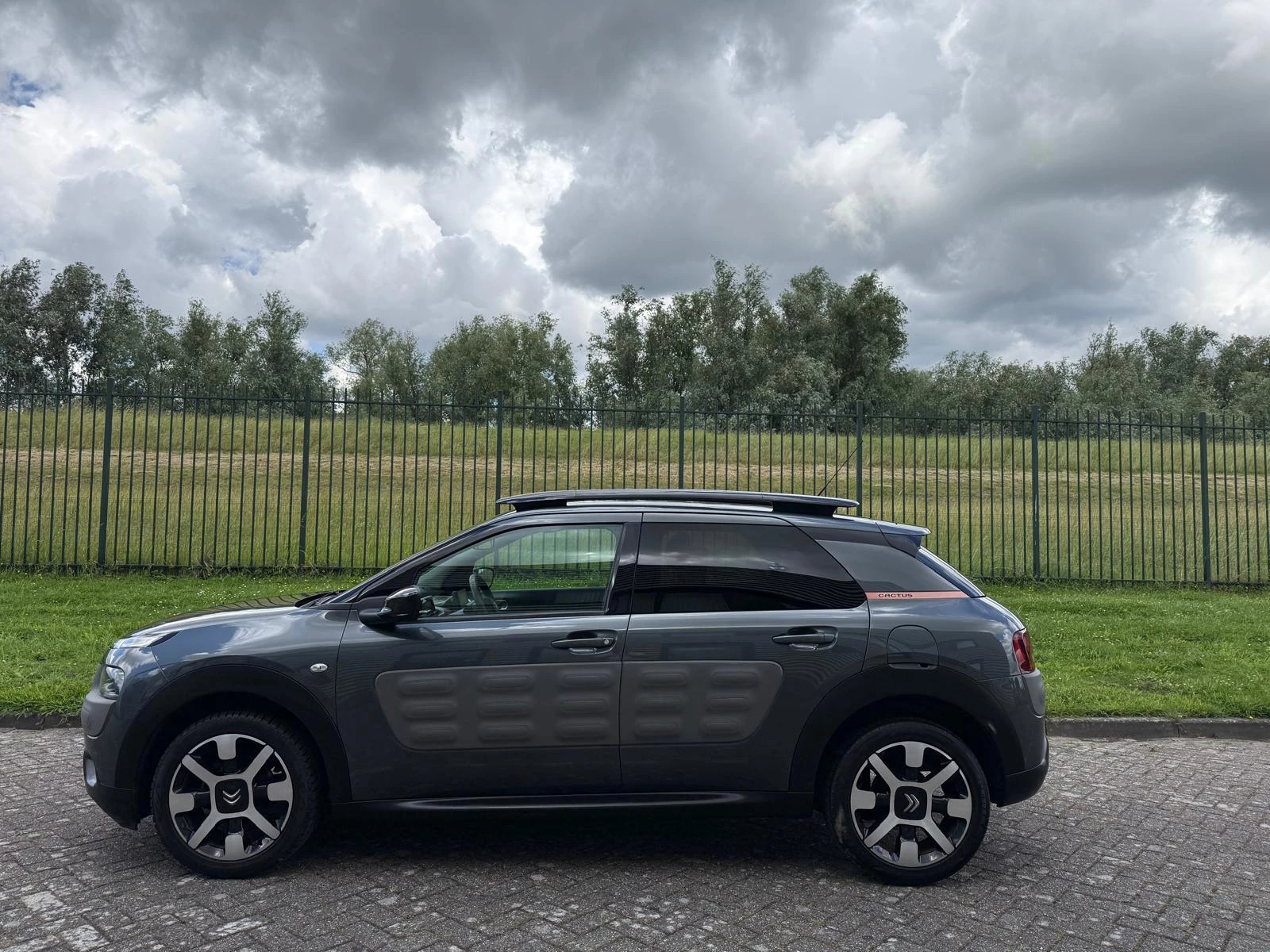 Hoofdafbeelding Citroën C4 Cactus