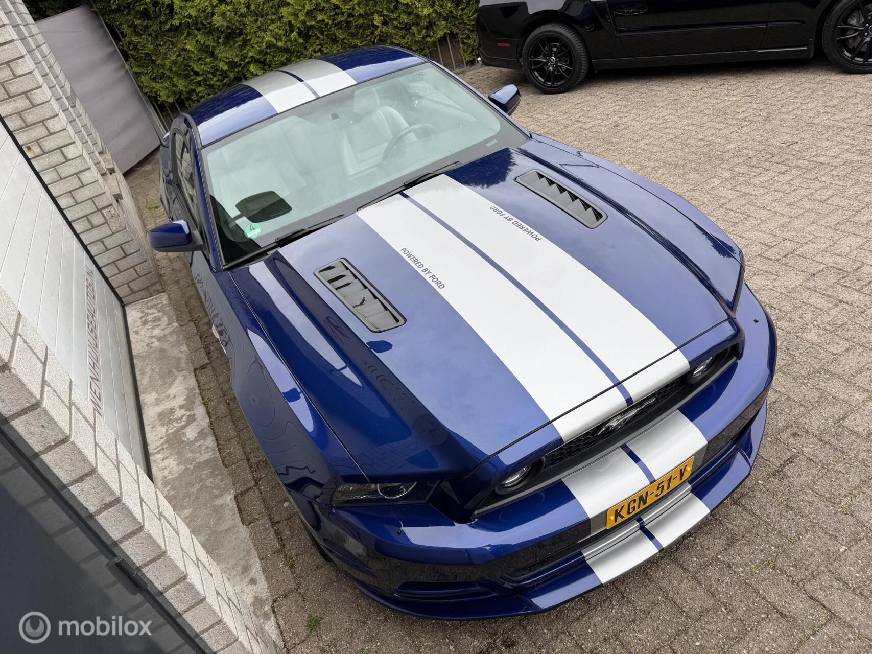 Hoofdafbeelding Ford Mustang
