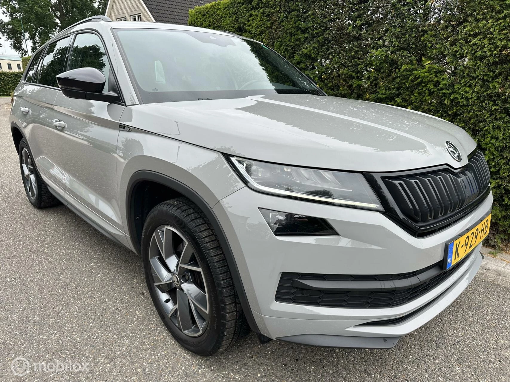 Hoofdafbeelding Škoda Kodiaq