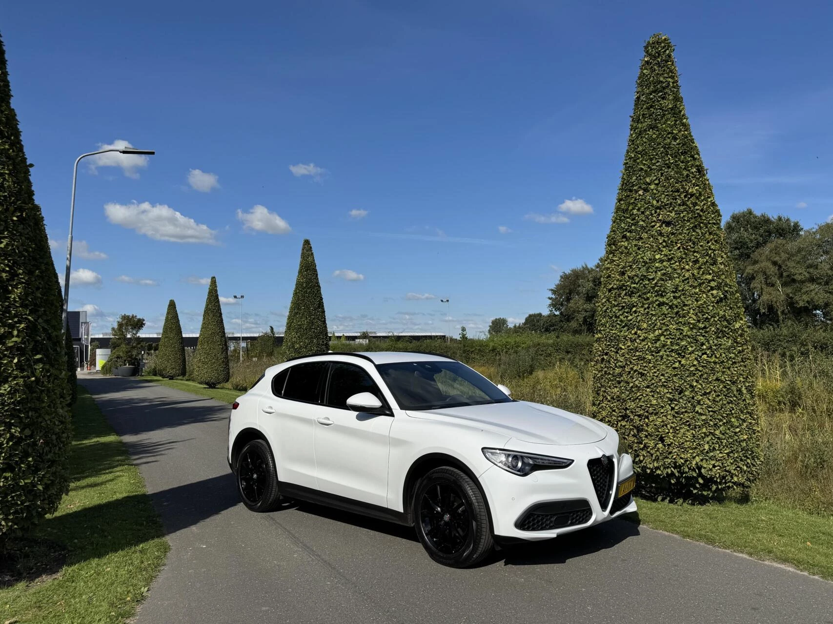 Hoofdafbeelding Alfa Romeo Stelvio