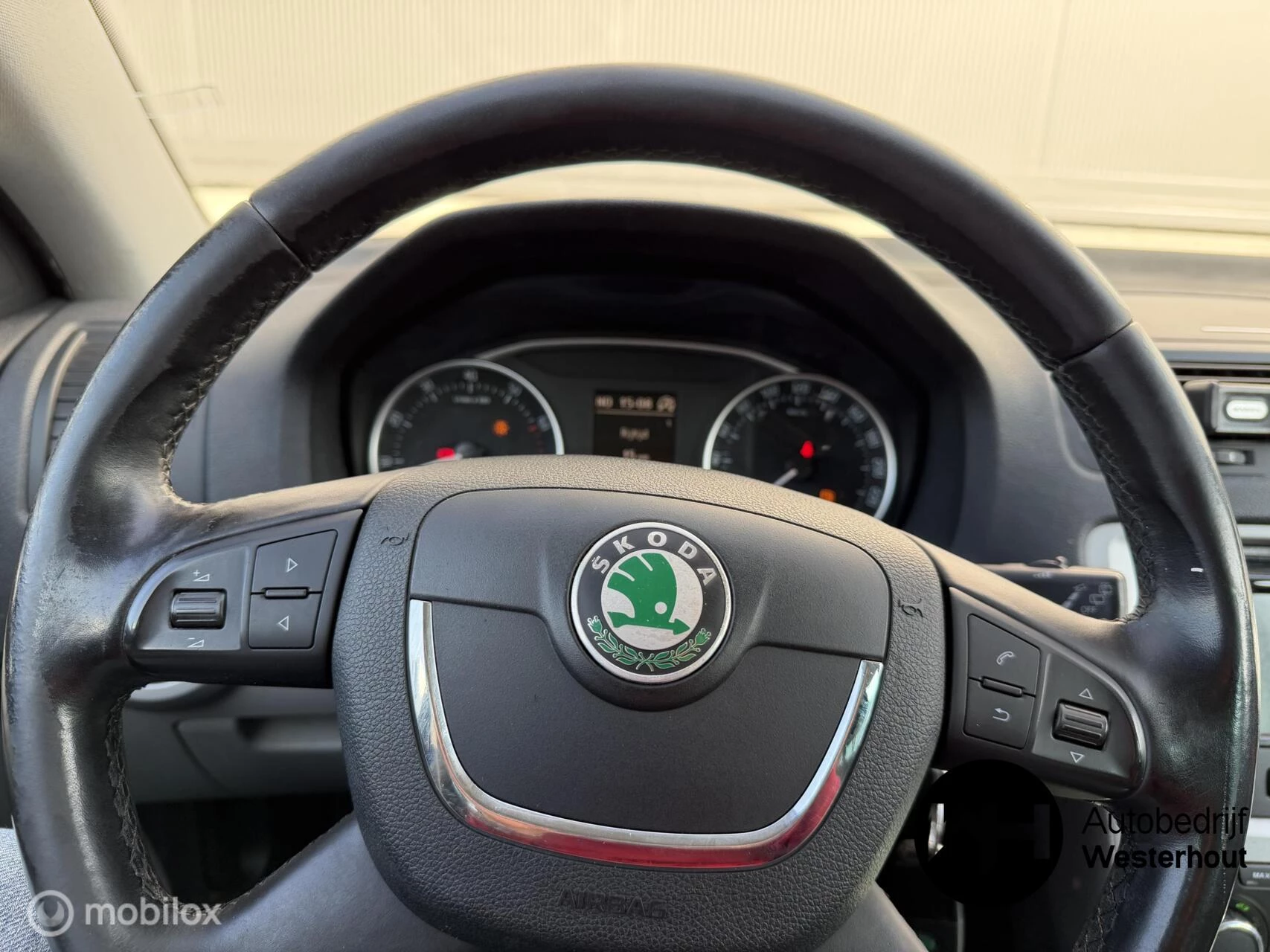 Hoofdafbeelding Škoda Octavia