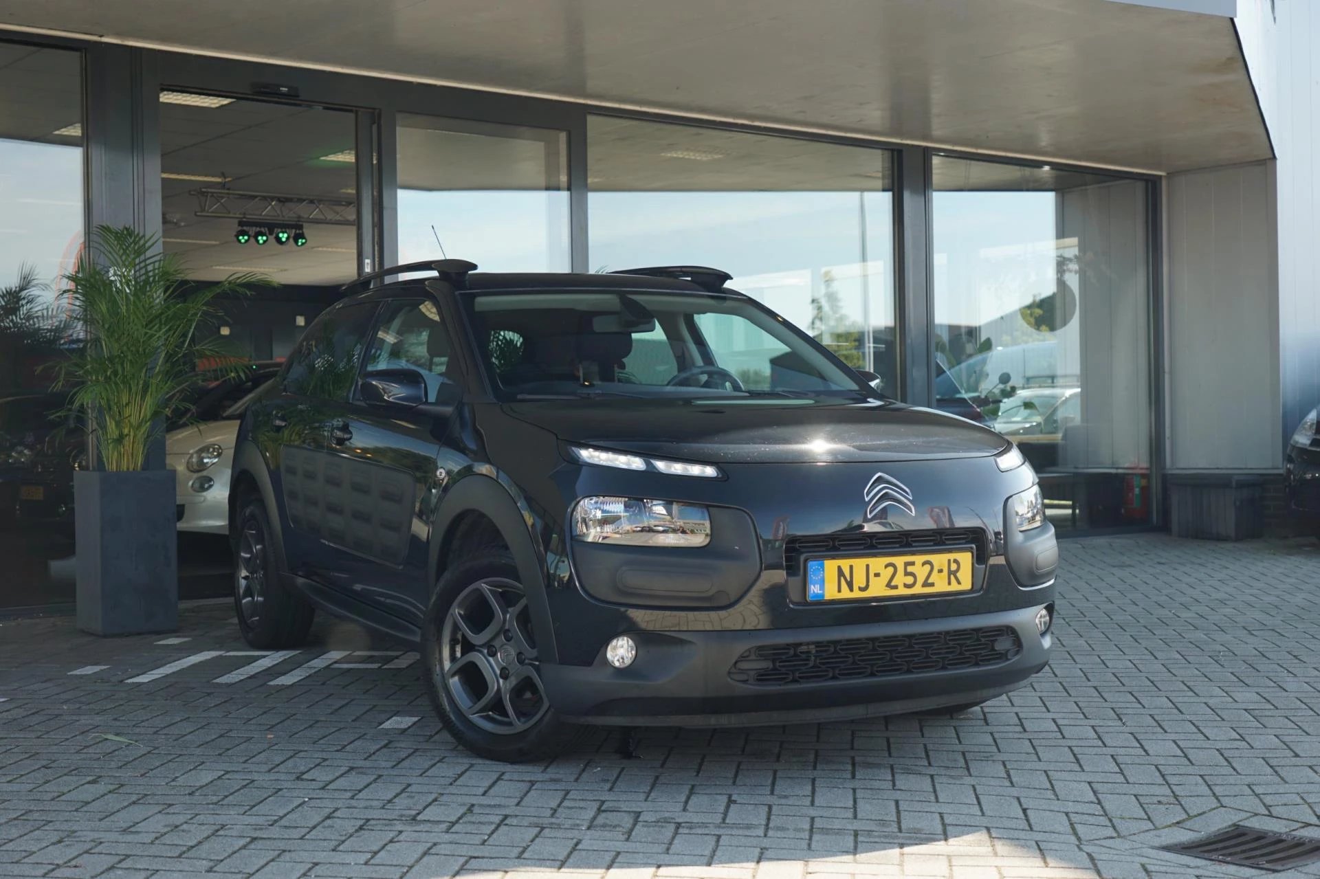 Hoofdafbeelding Citroën C4 Cactus