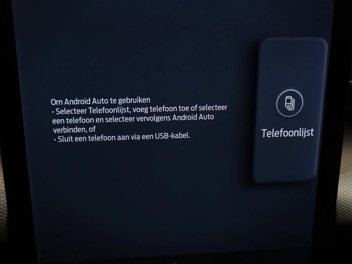 Hoofdafbeelding Ford Mustang Mach-E