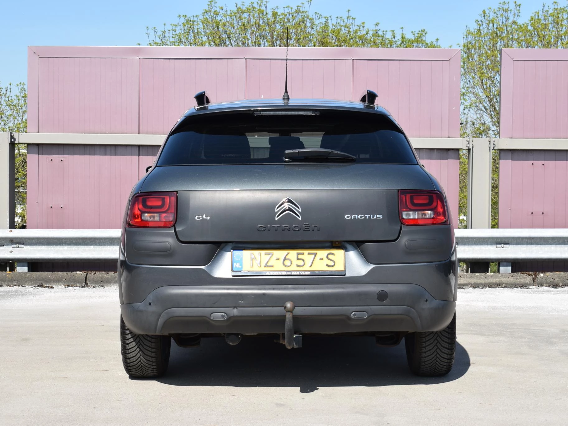 Hoofdafbeelding Citroën C4 Cactus