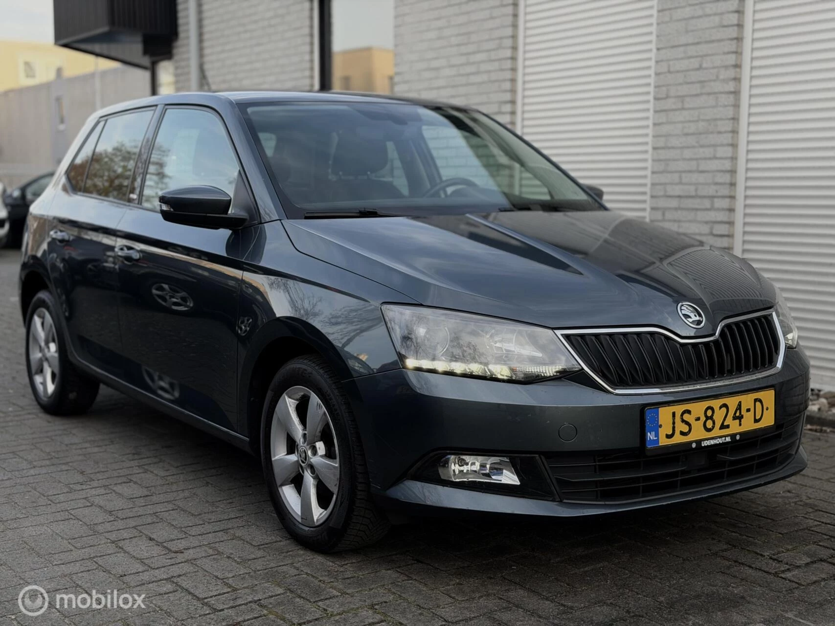 Hoofdafbeelding Škoda Fabia
