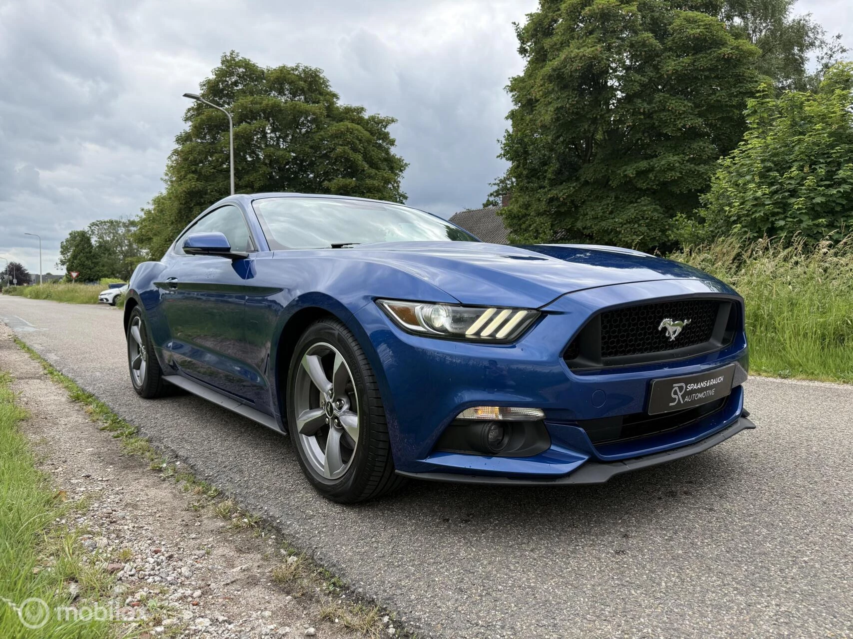 Hoofdafbeelding Ford Mustang