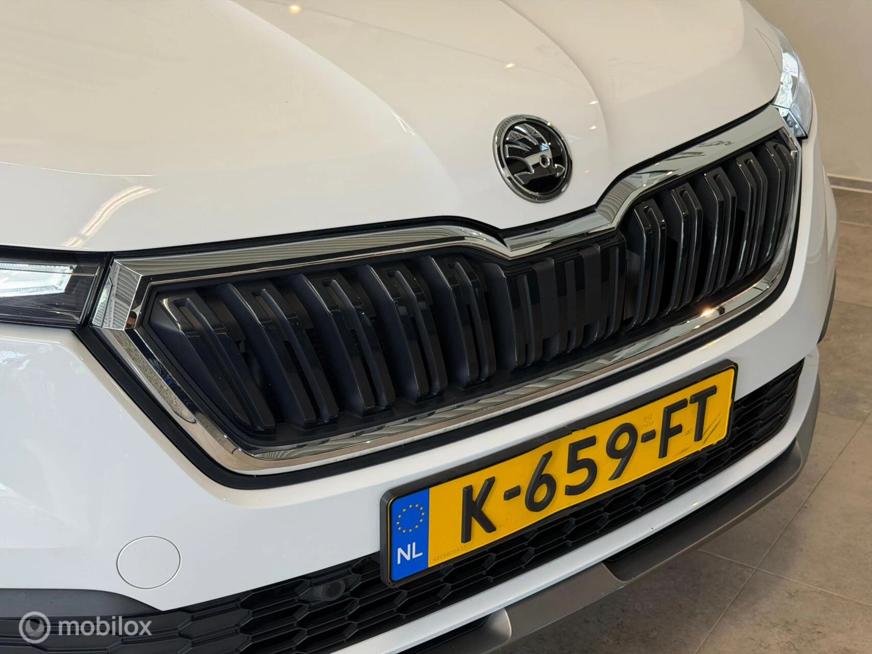 Hoofdafbeelding Škoda Kamiq