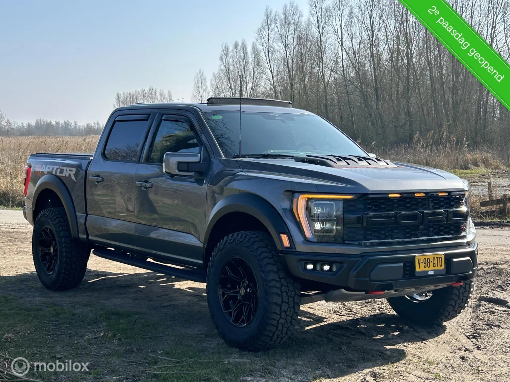 Hoofdafbeelding Ford F-150