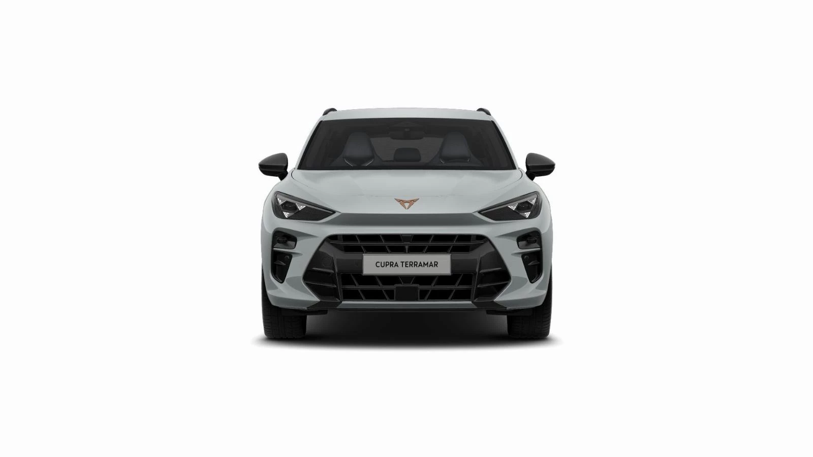 Hoofdafbeelding CUPRA Terramar