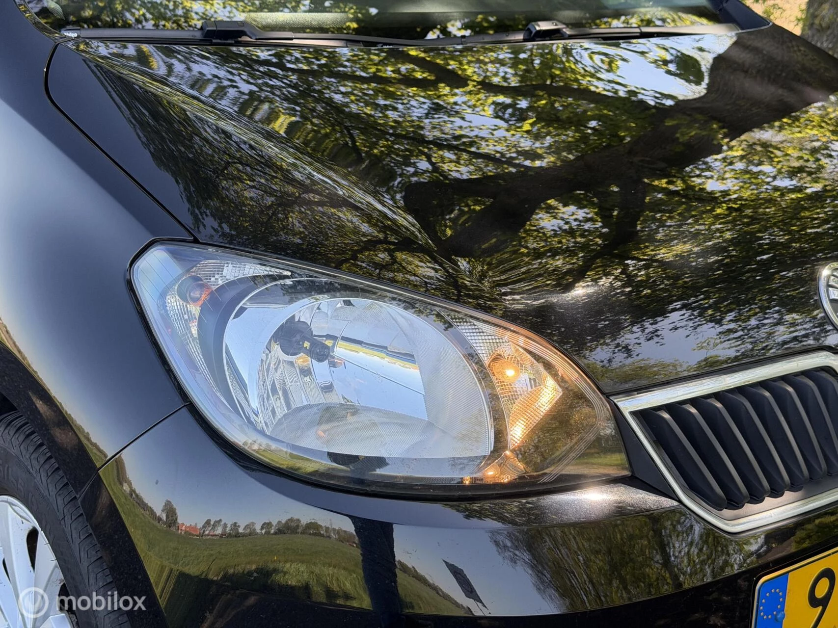 Hoofdafbeelding Škoda Citigo