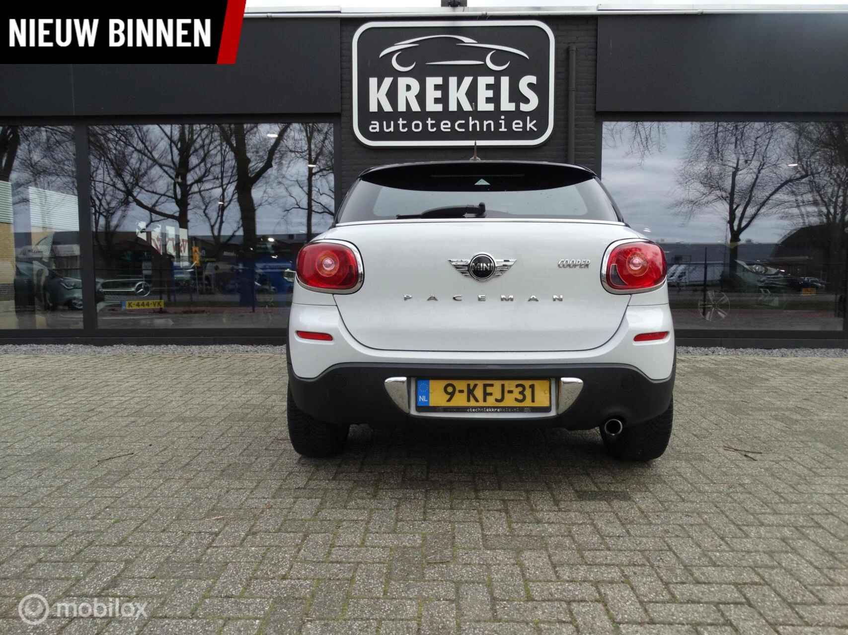 Hoofdafbeelding MINI Paceman