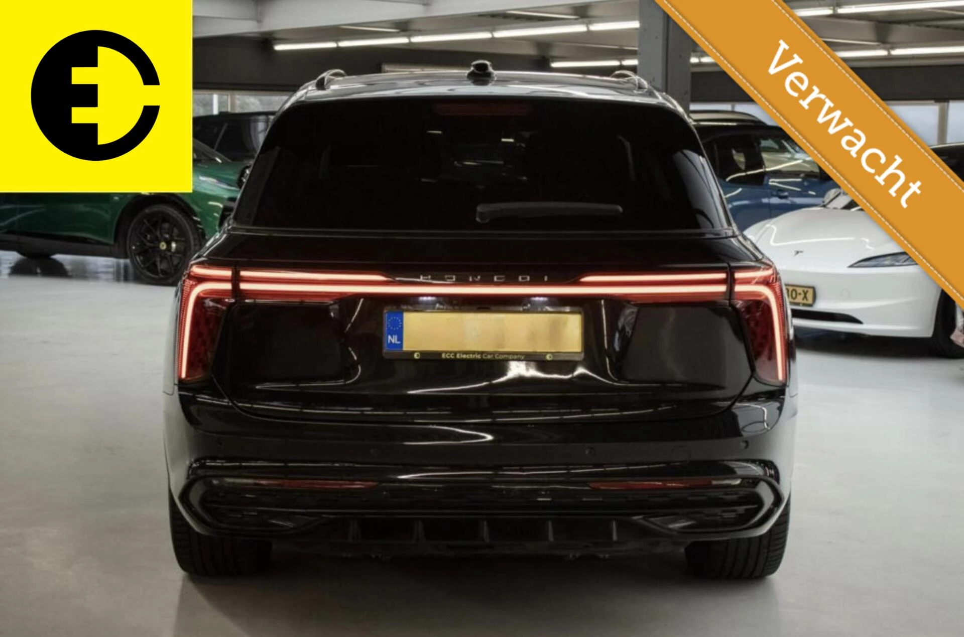 Hoofdafbeelding Hongqi E-HS9