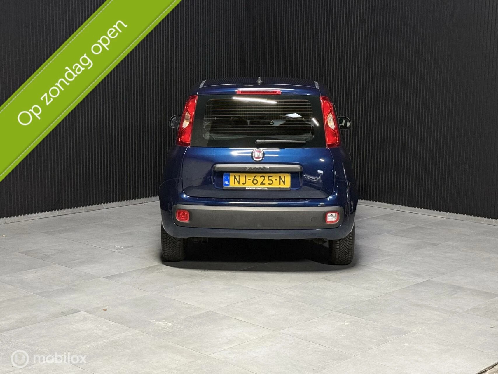 Hoofdafbeelding Fiat Panda
