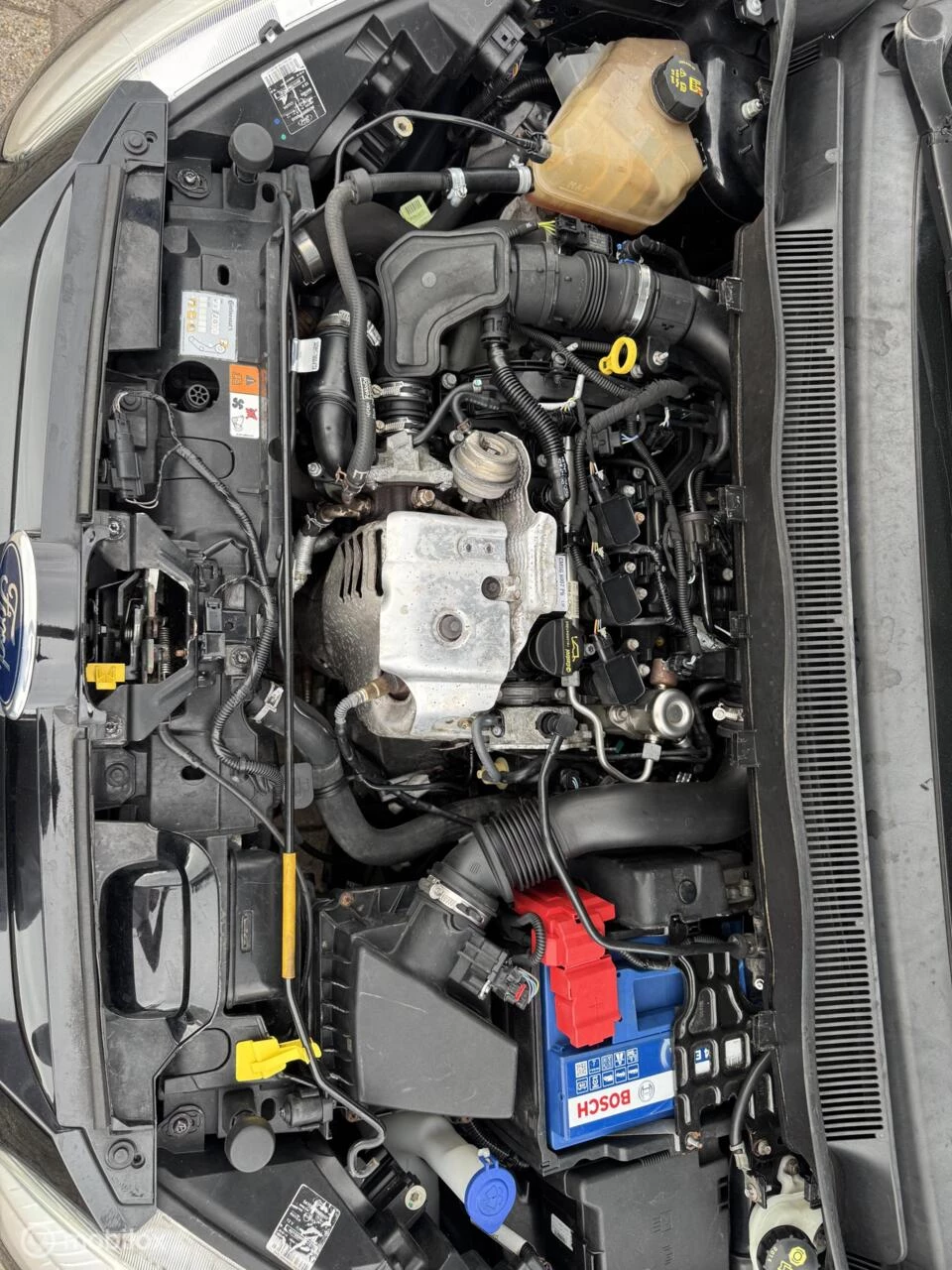 Hoofdafbeelding Ford B-MAX