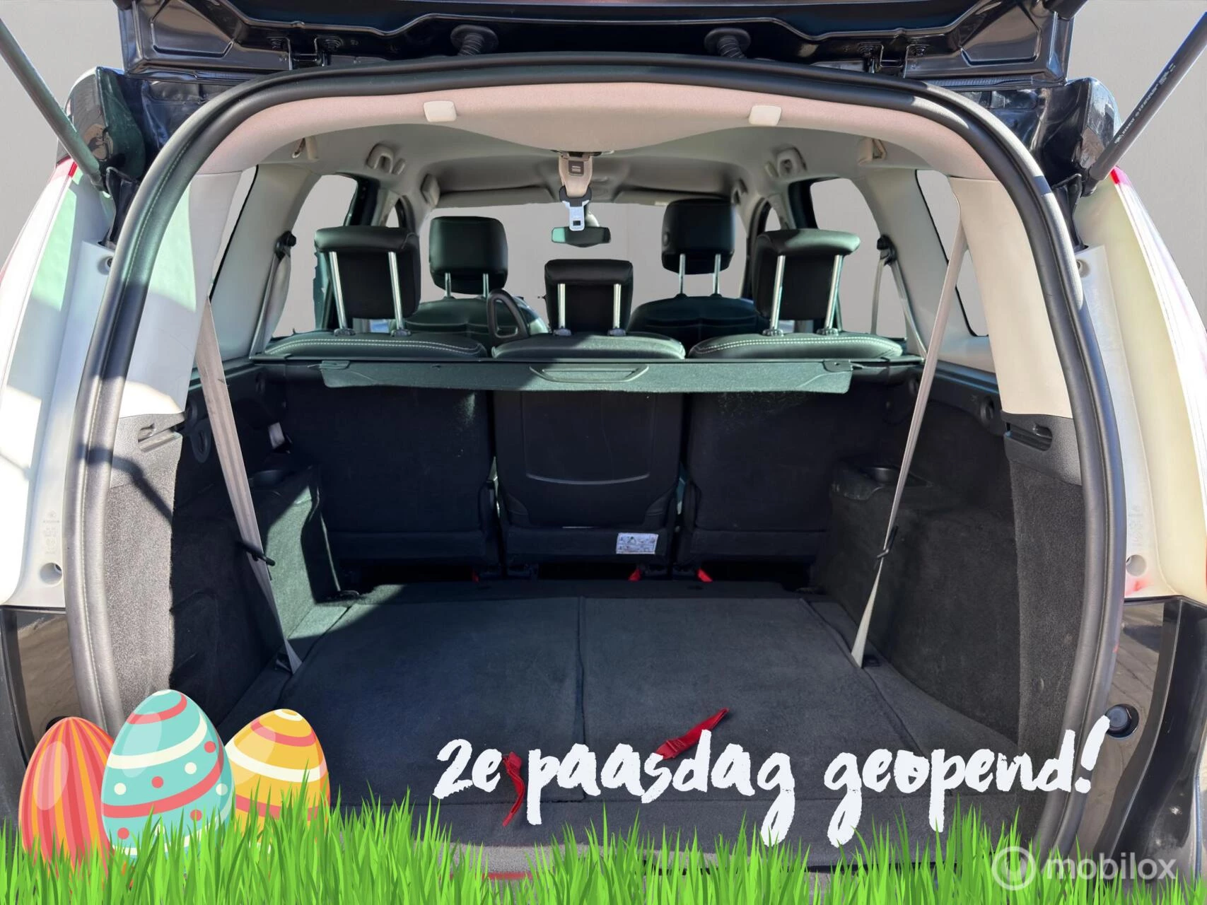 Hoofdafbeelding Renault Grand Scénic