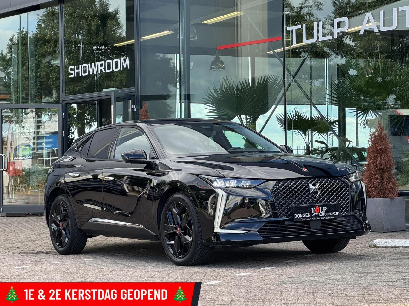 Hoofdafbeelding DS DS 4