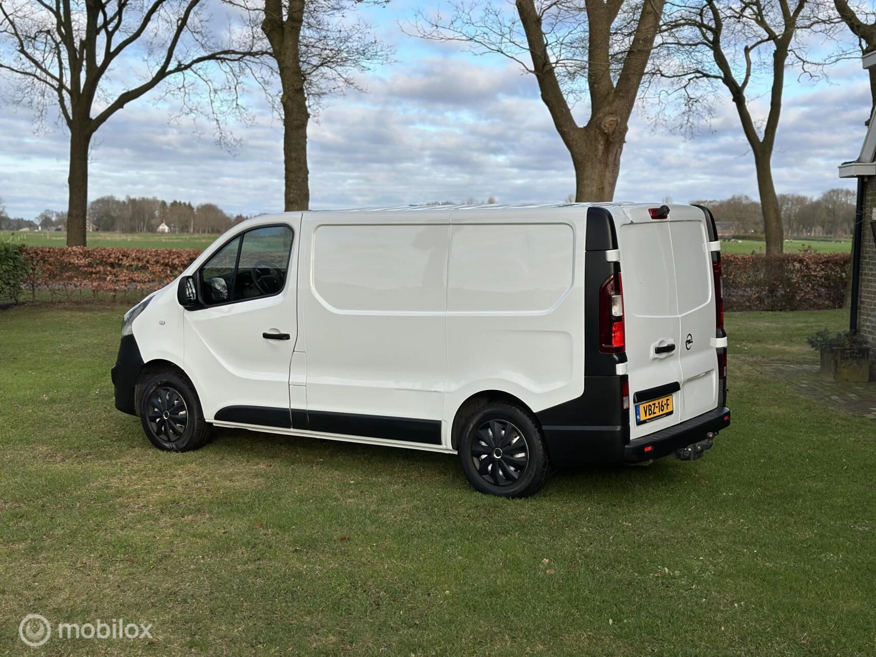 Hoofdafbeelding Opel Vivaro
