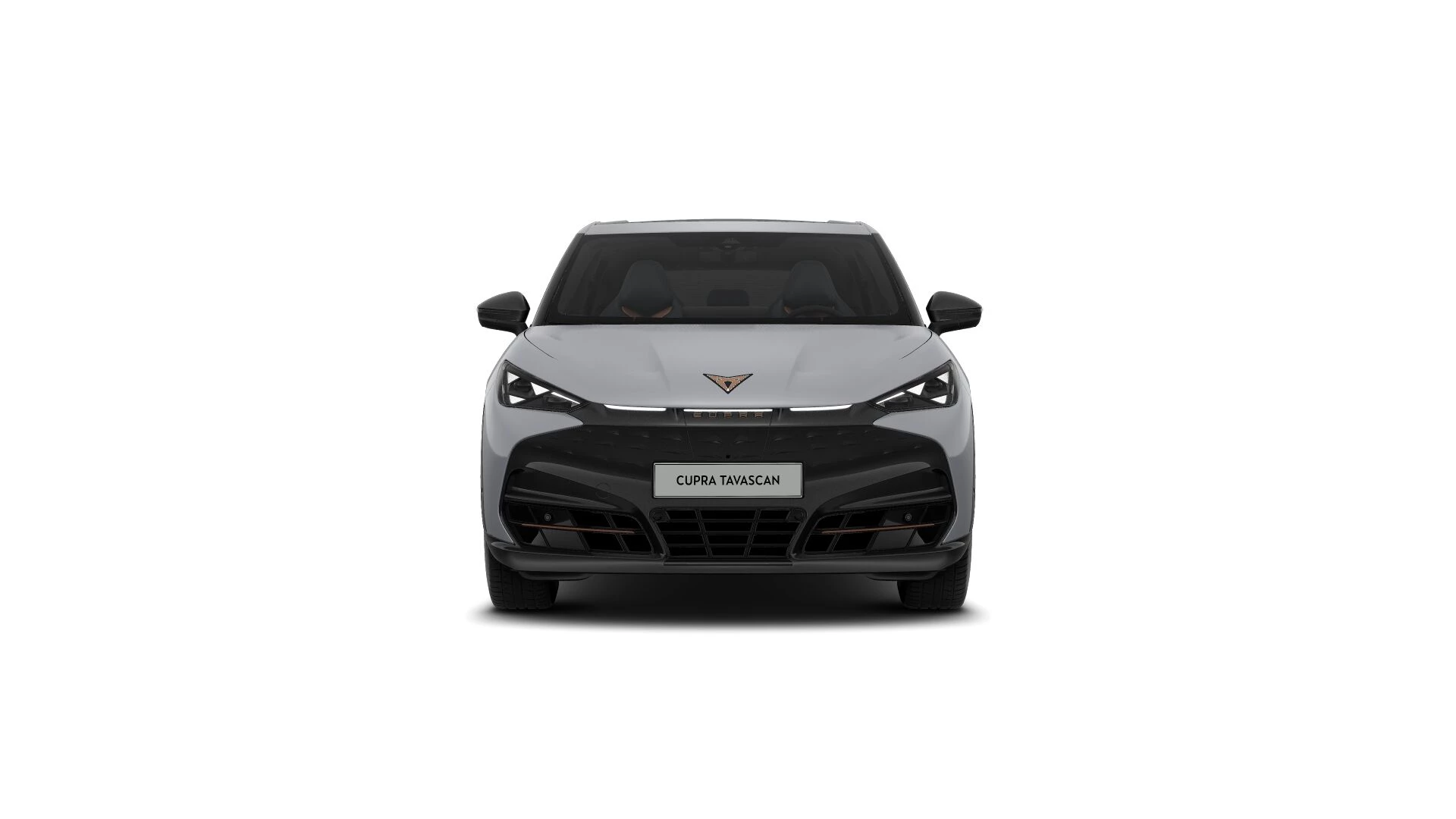 Hoofdafbeelding CUPRA Tavascan