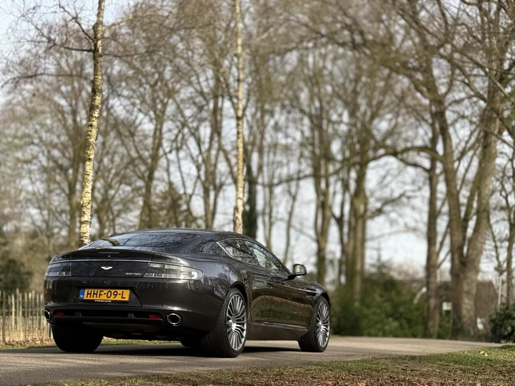 Hoofdafbeelding Aston Martin Rapide