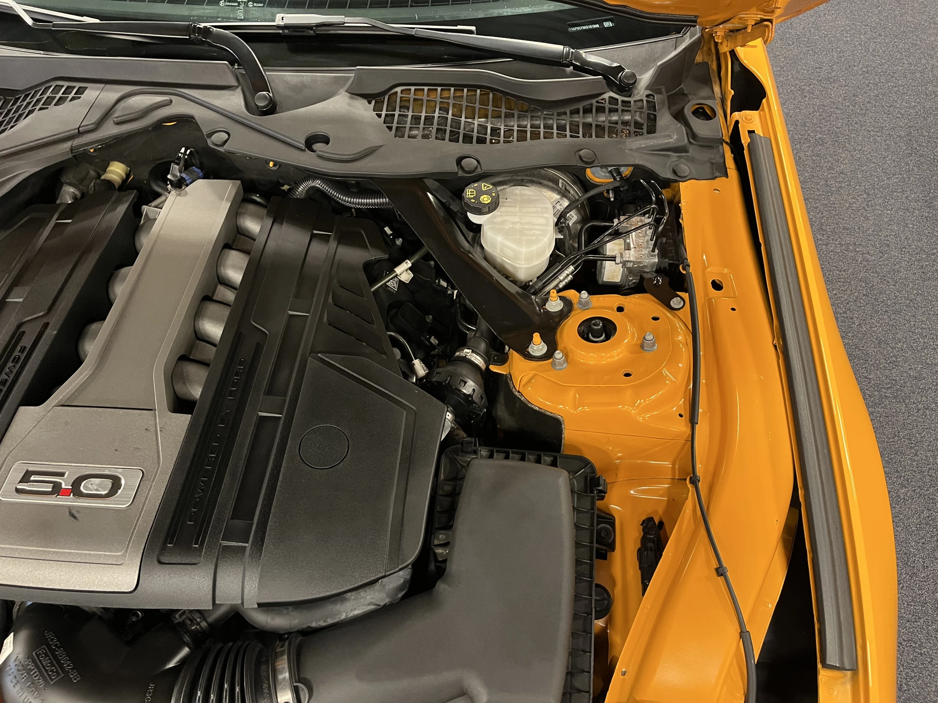 Hoofdafbeelding Ford Mustang