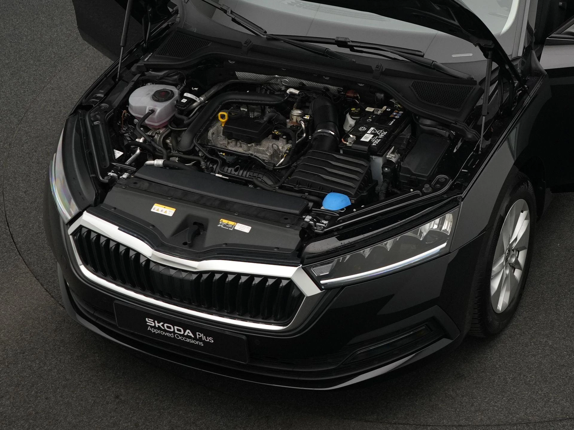 Hoofdafbeelding Škoda Octavia