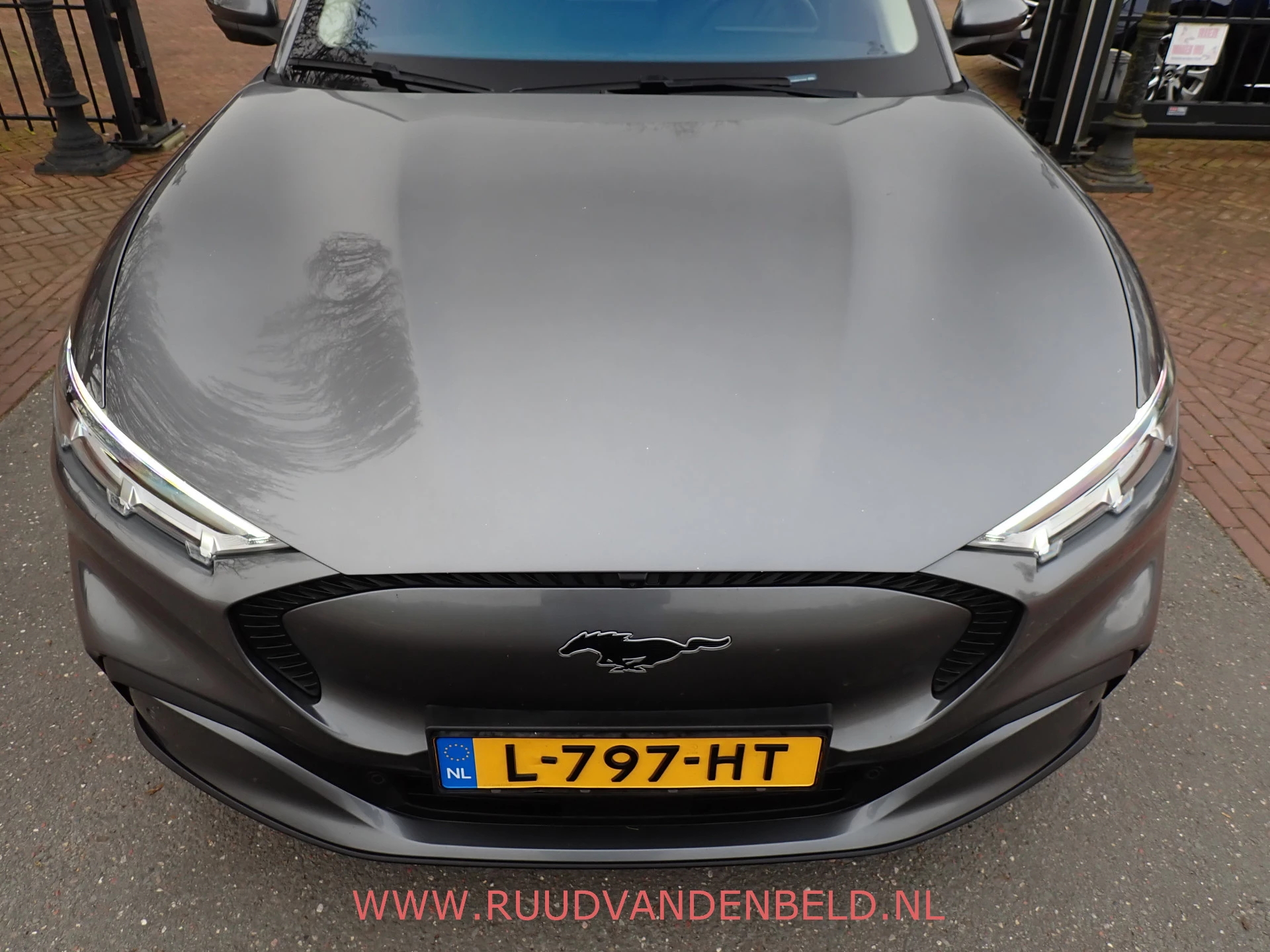 Hoofdafbeelding Ford Mustang Mach-E