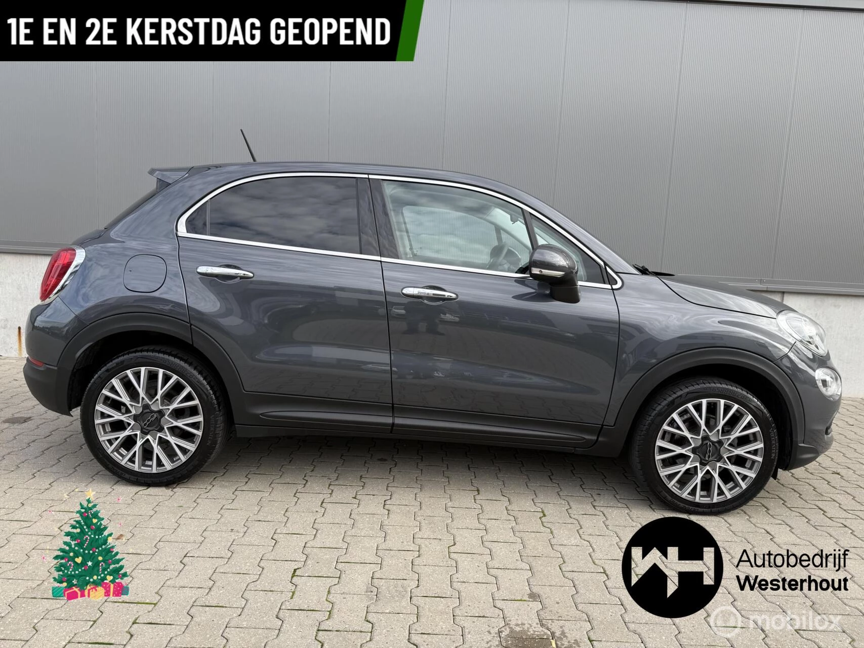Hoofdafbeelding Fiat 500X