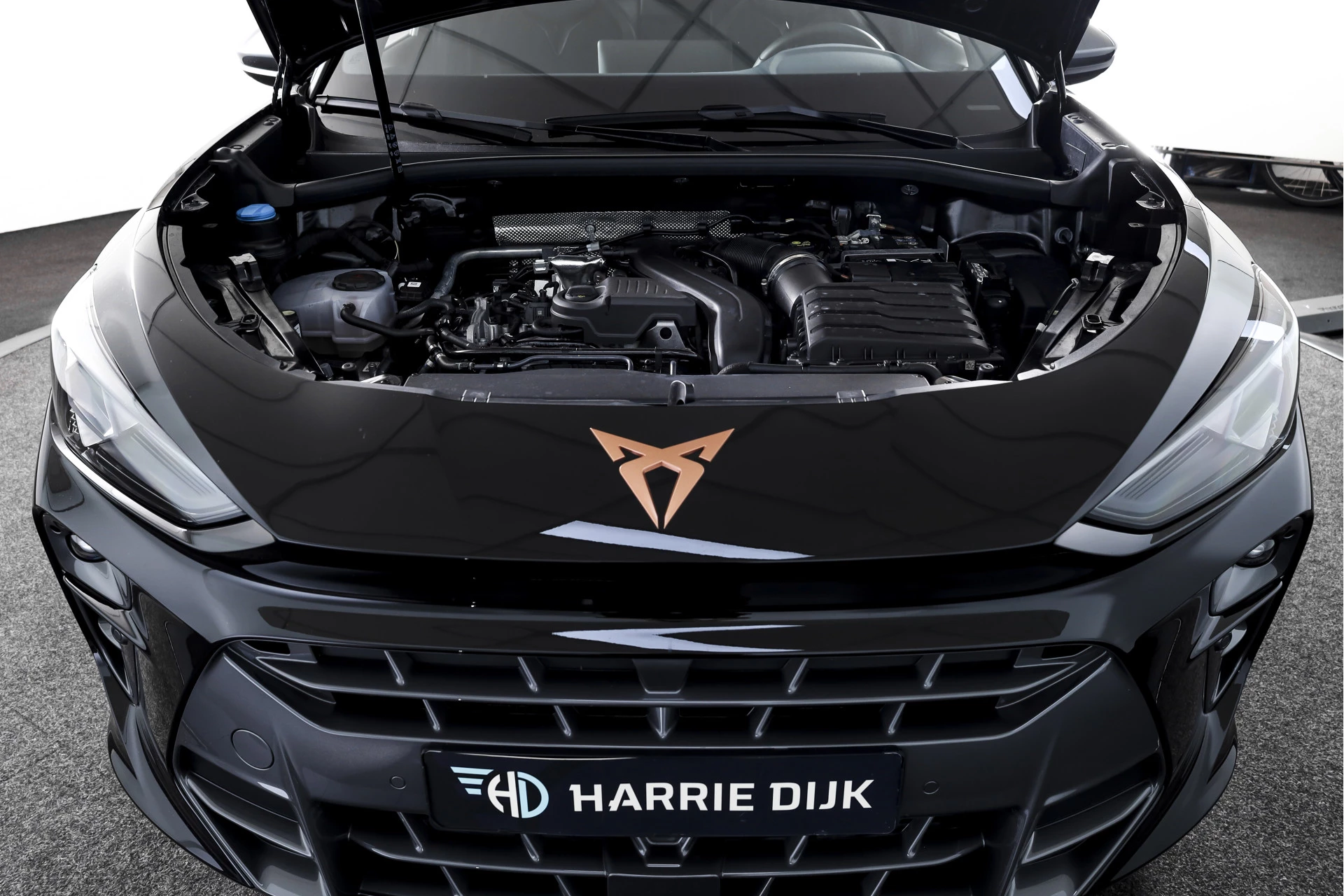 Hoofdafbeelding CUPRA Terramar