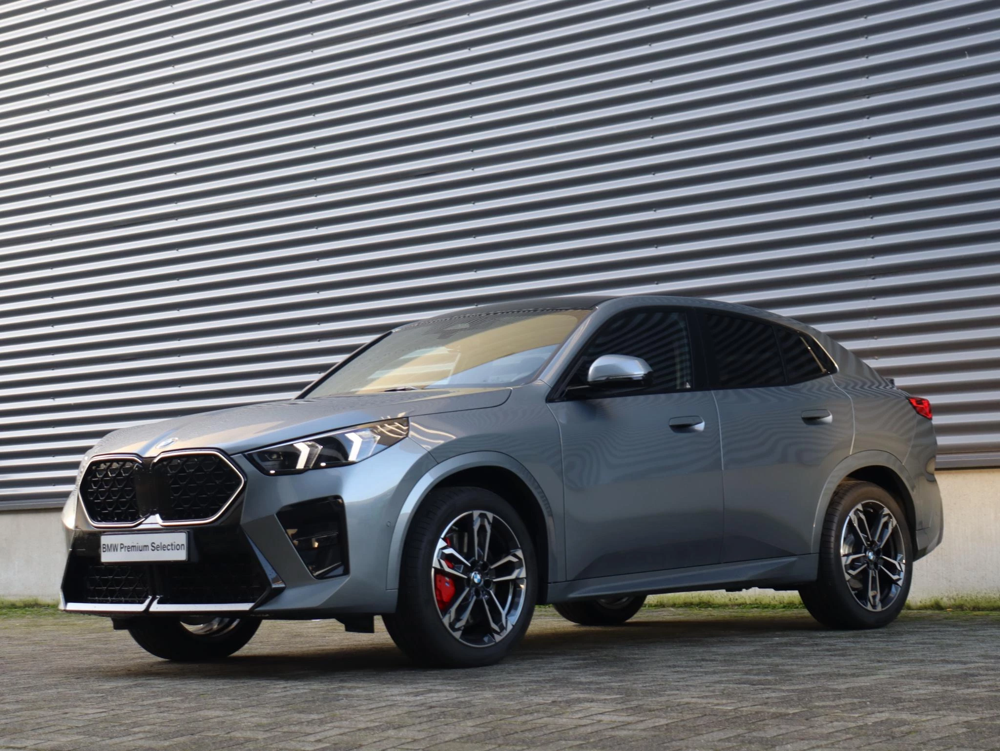 Hoofdafbeelding BMW X2