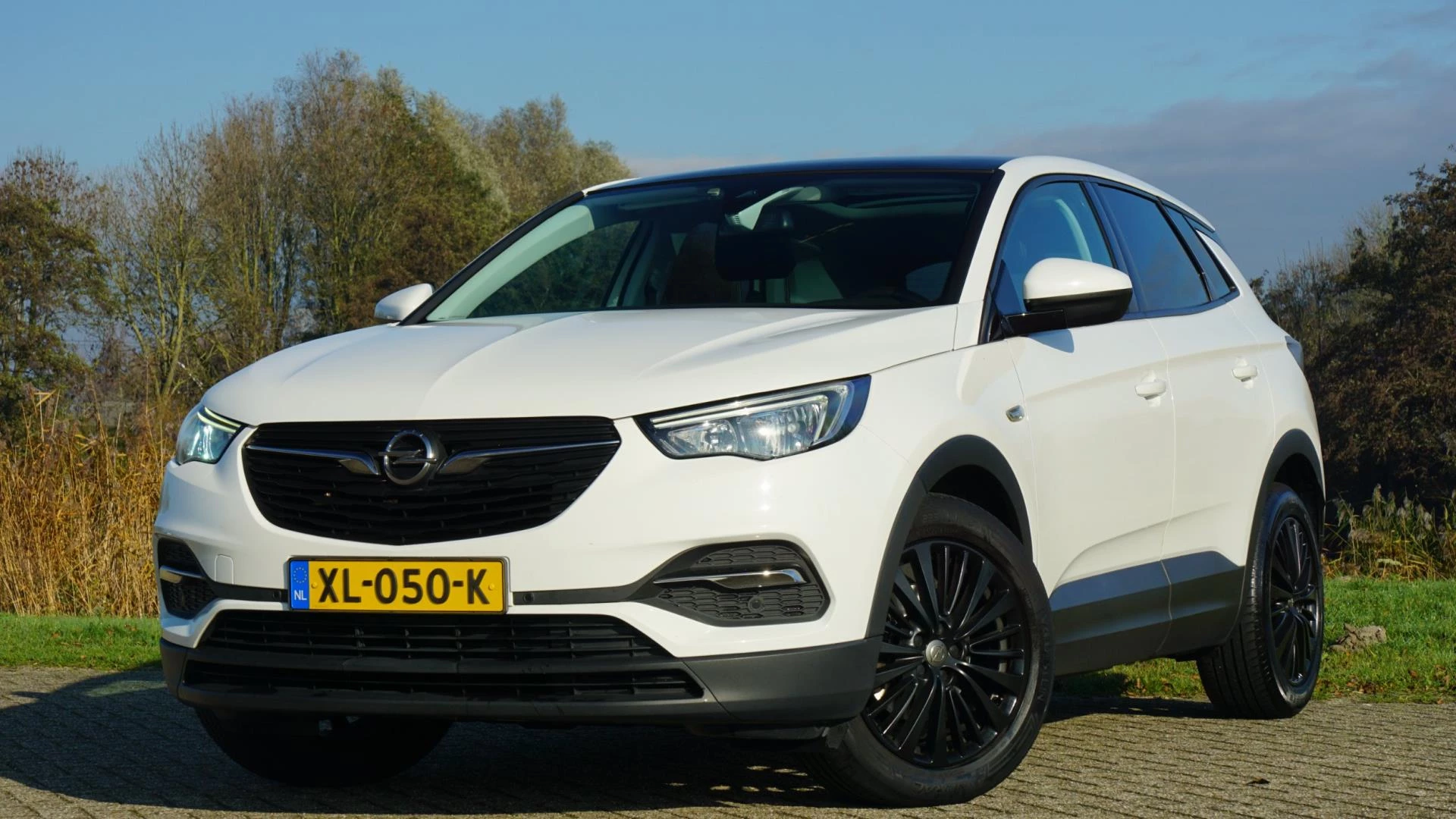 Hoofdafbeelding Opel Grandland X