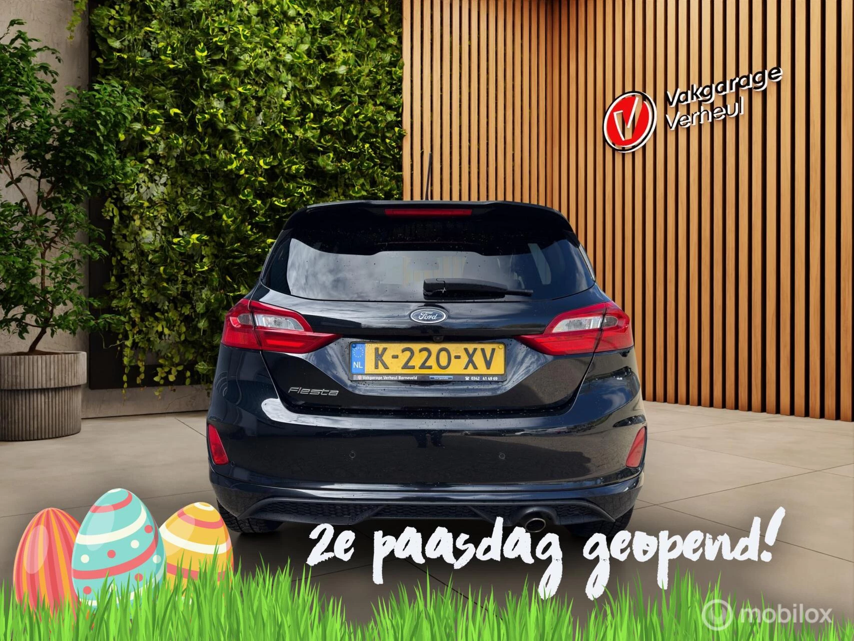 Hoofdafbeelding Ford Fiesta