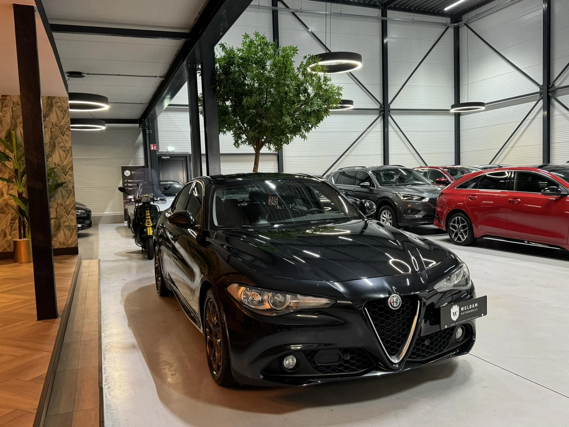 Hoofdafbeelding Alfa Romeo Giulia