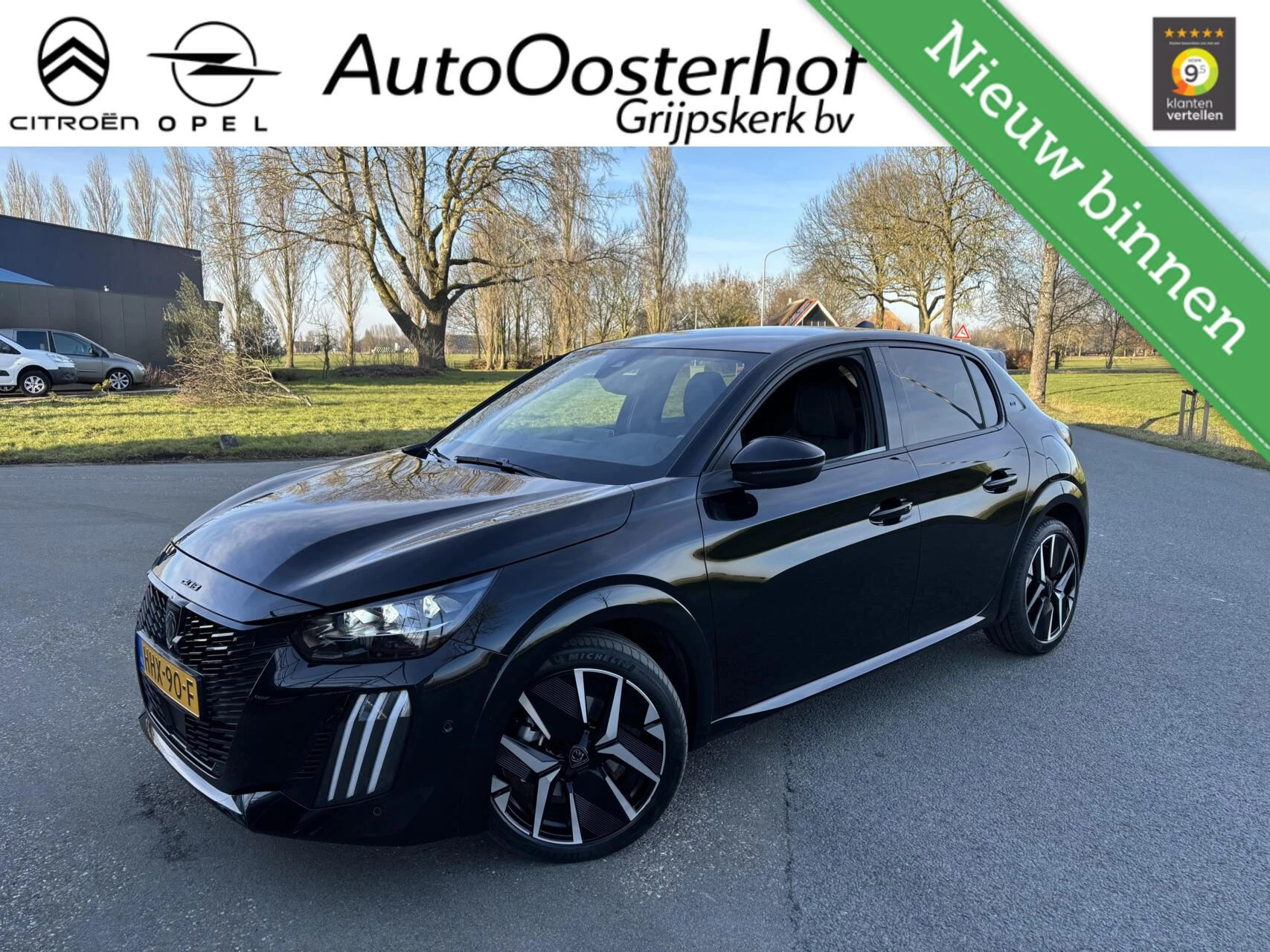 Hoofdafbeelding Peugeot 208