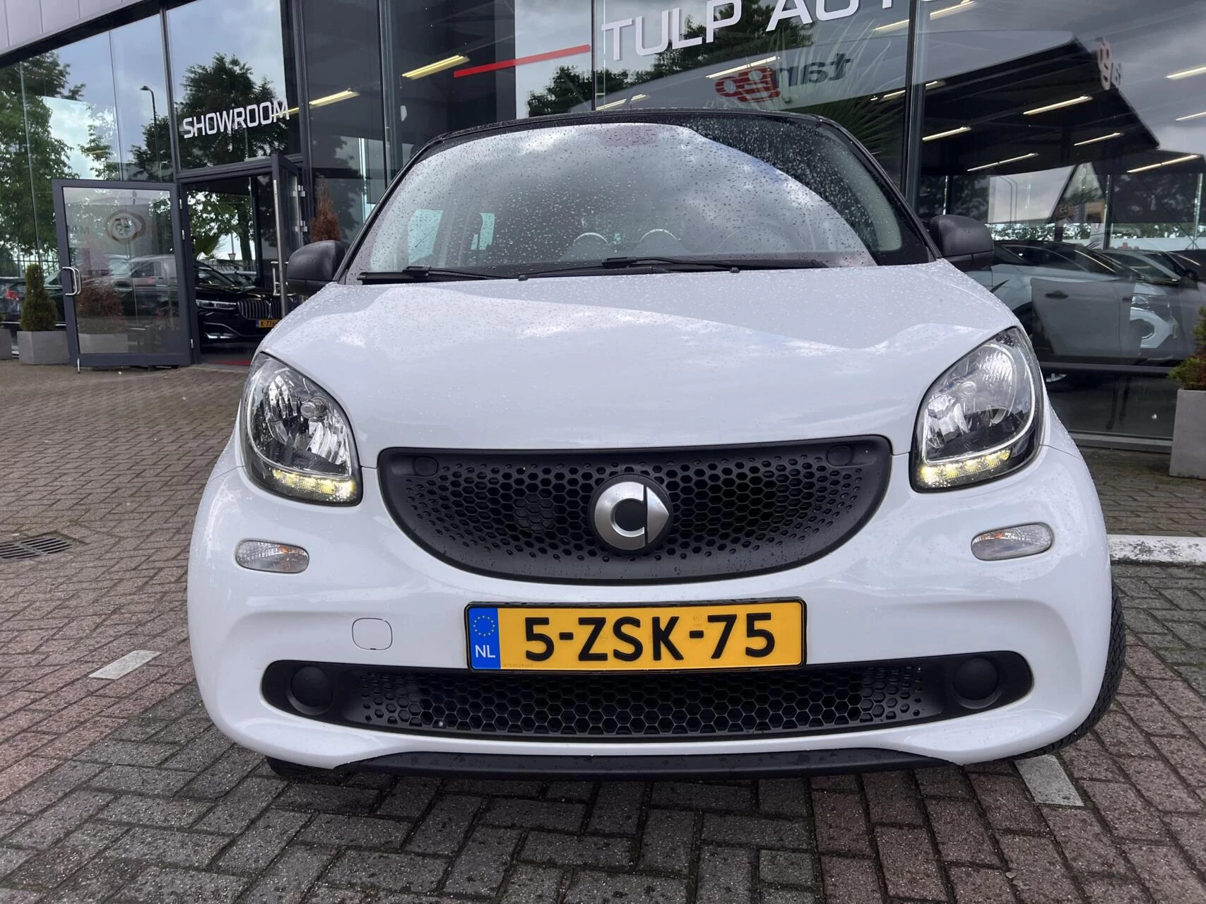 Hoofdafbeelding smart Forfour