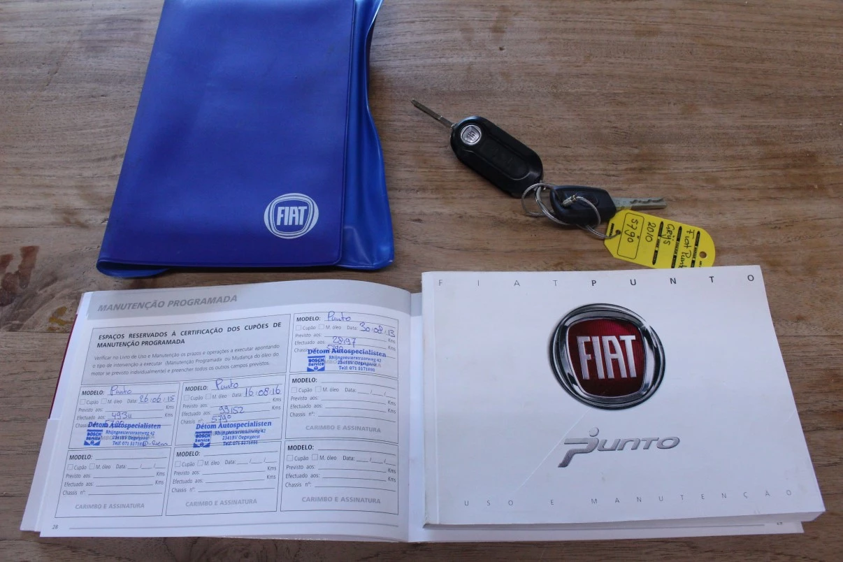 Hoofdafbeelding Fiat Punto