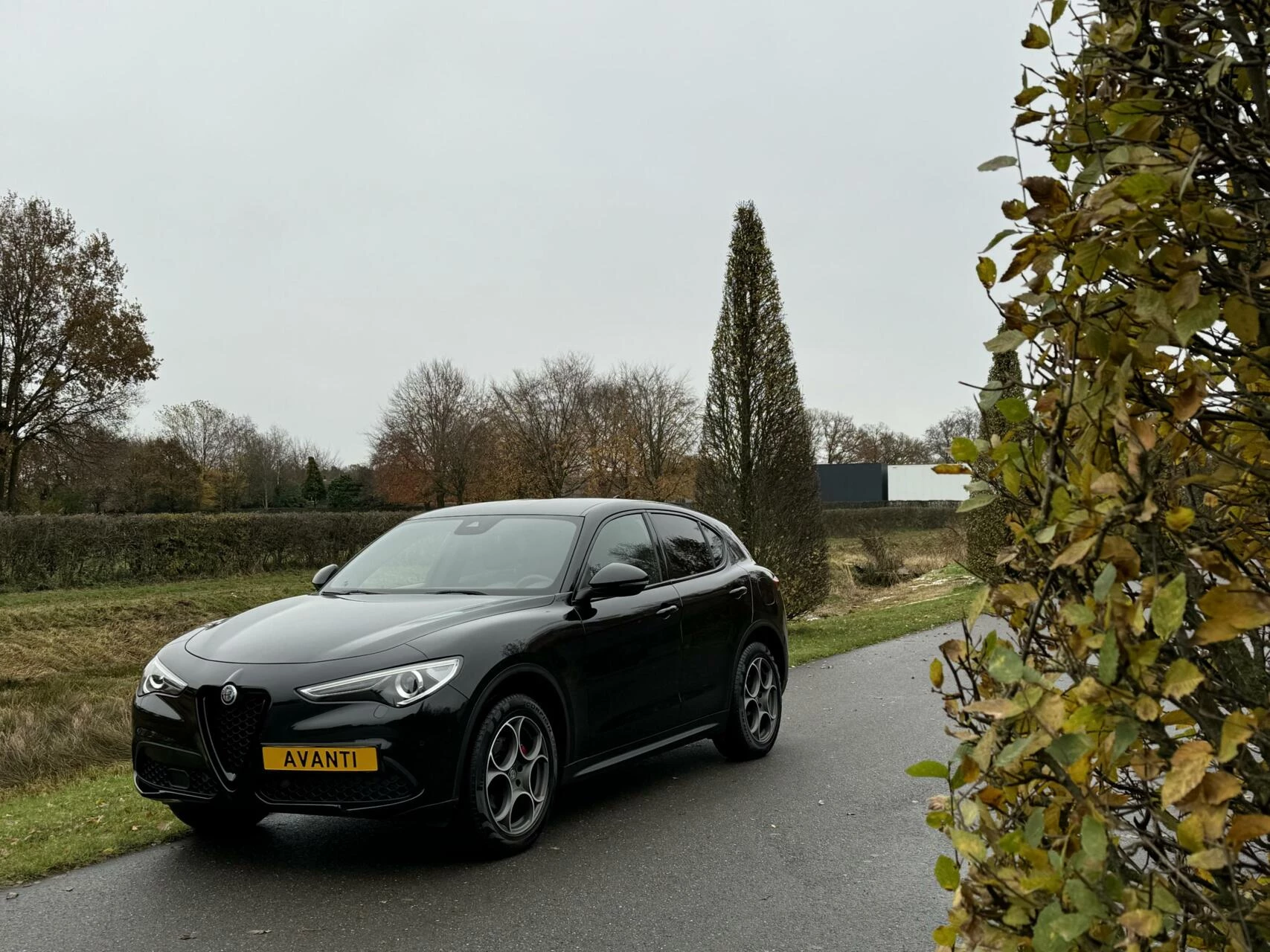 Hoofdafbeelding Alfa Romeo Stelvio