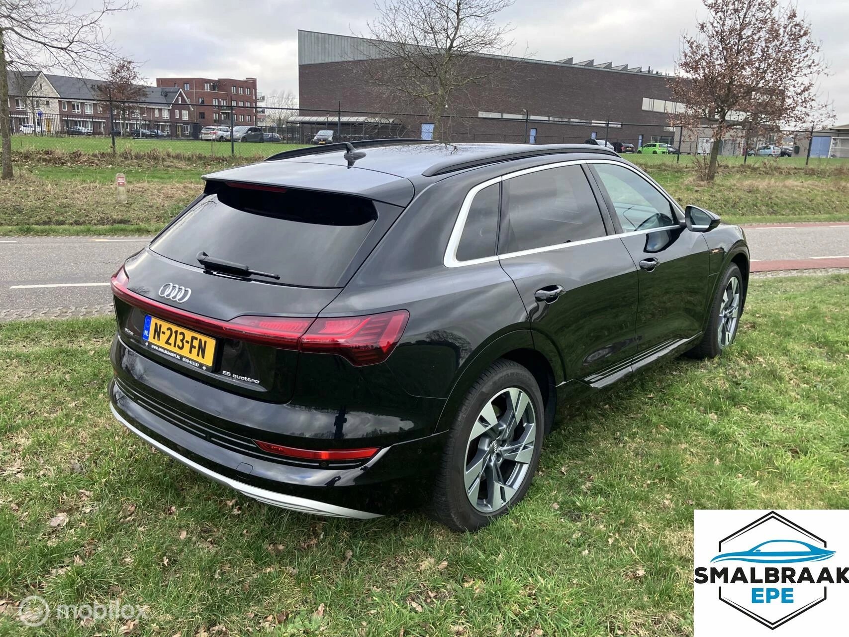 Hoofdafbeelding Audi e-tron