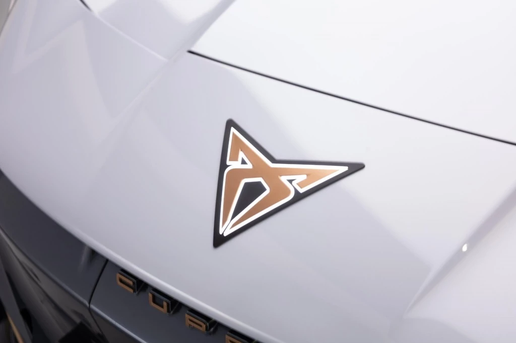 Hoofdafbeelding CUPRA Tavascan