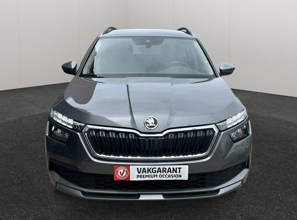 Hoofdafbeelding Škoda Kamiq