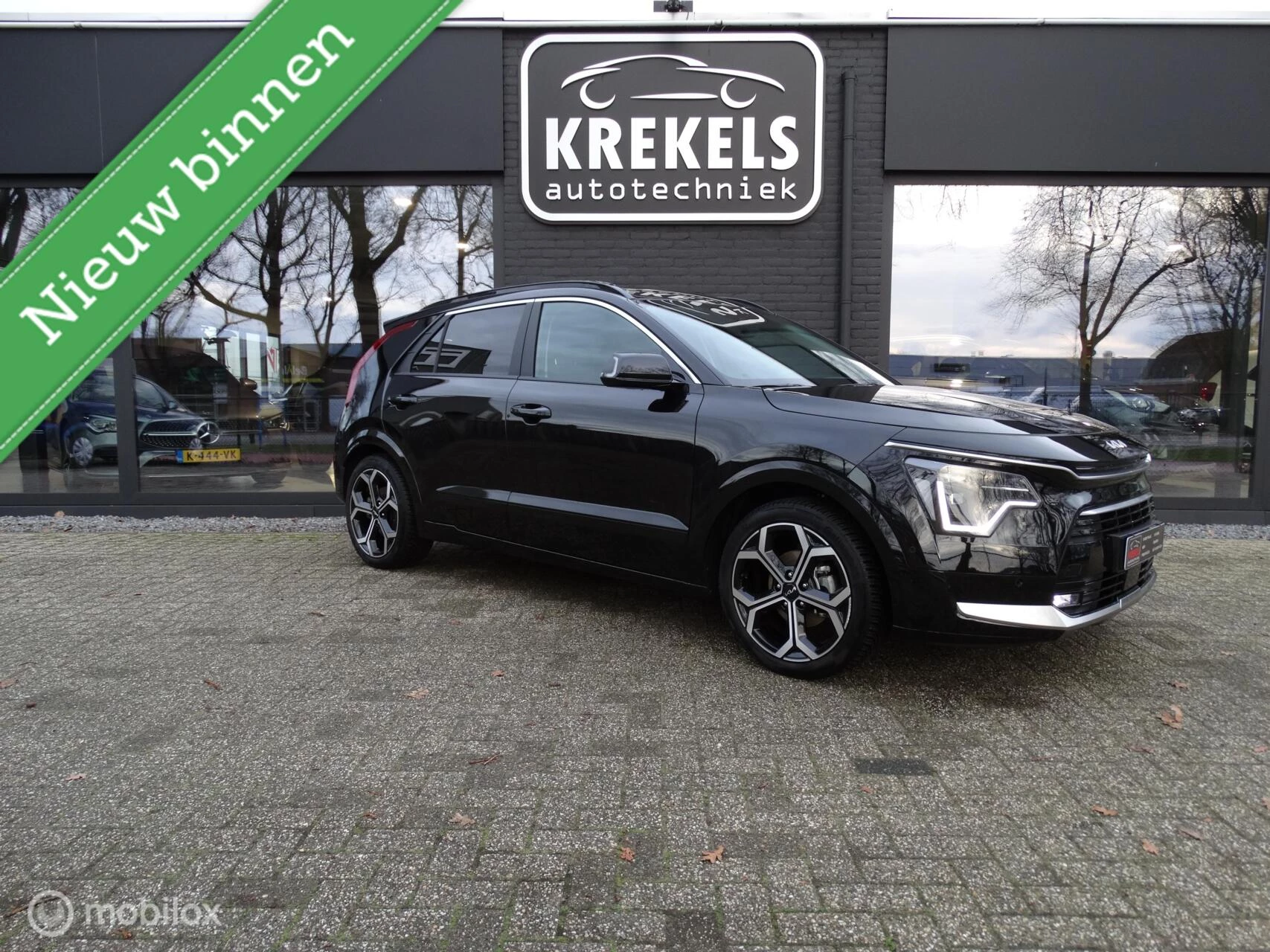 Hoofdafbeelding Kia Niro