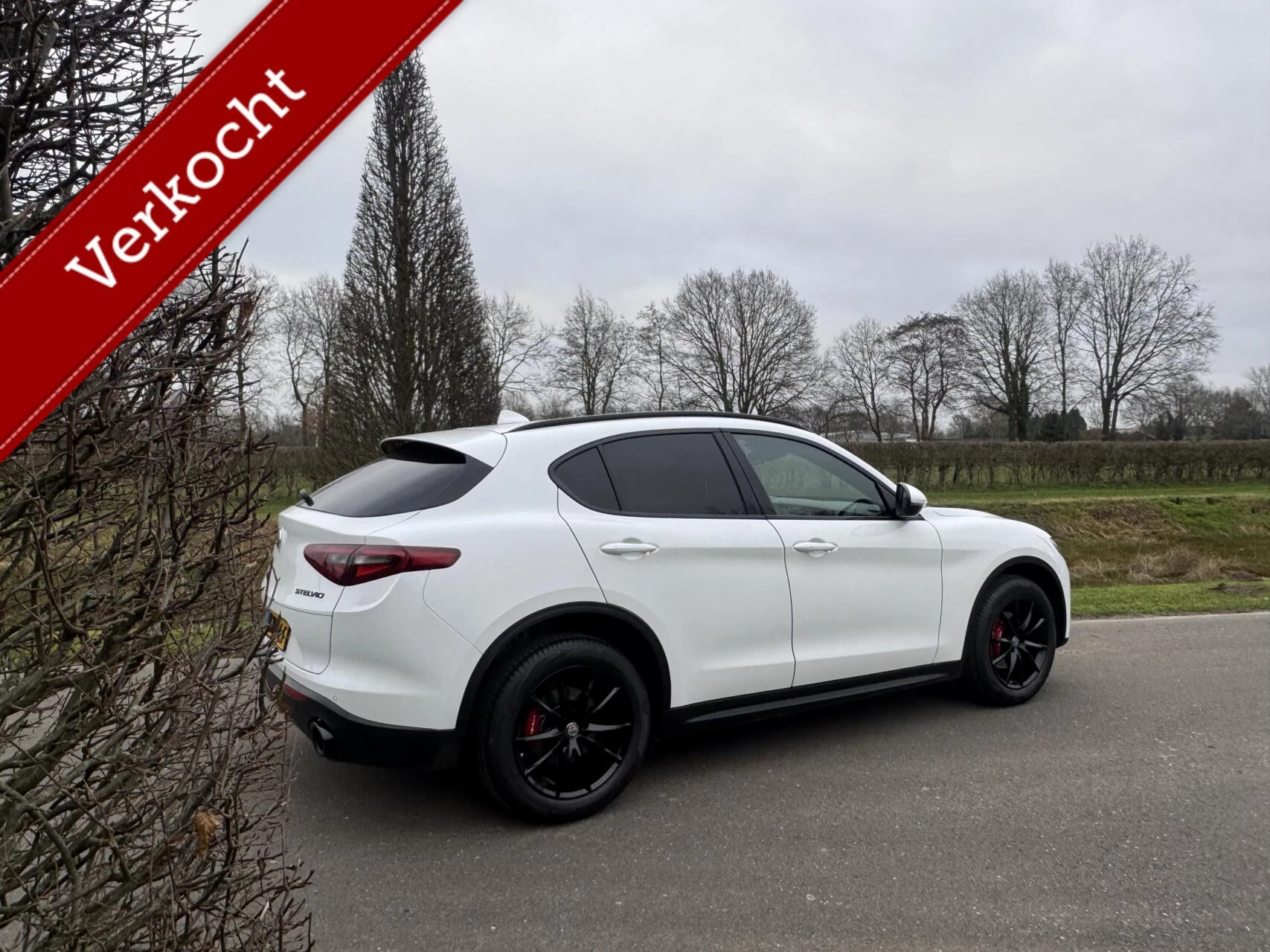 Hoofdafbeelding Alfa Romeo Stelvio